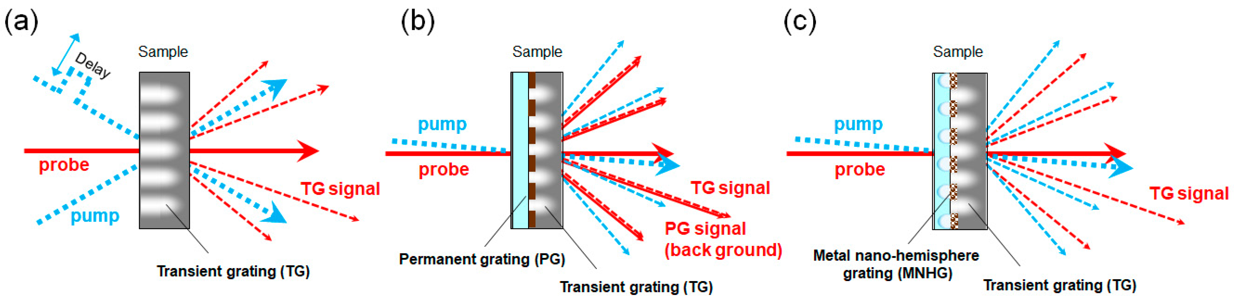 Nanomaterials 14 01605 g001