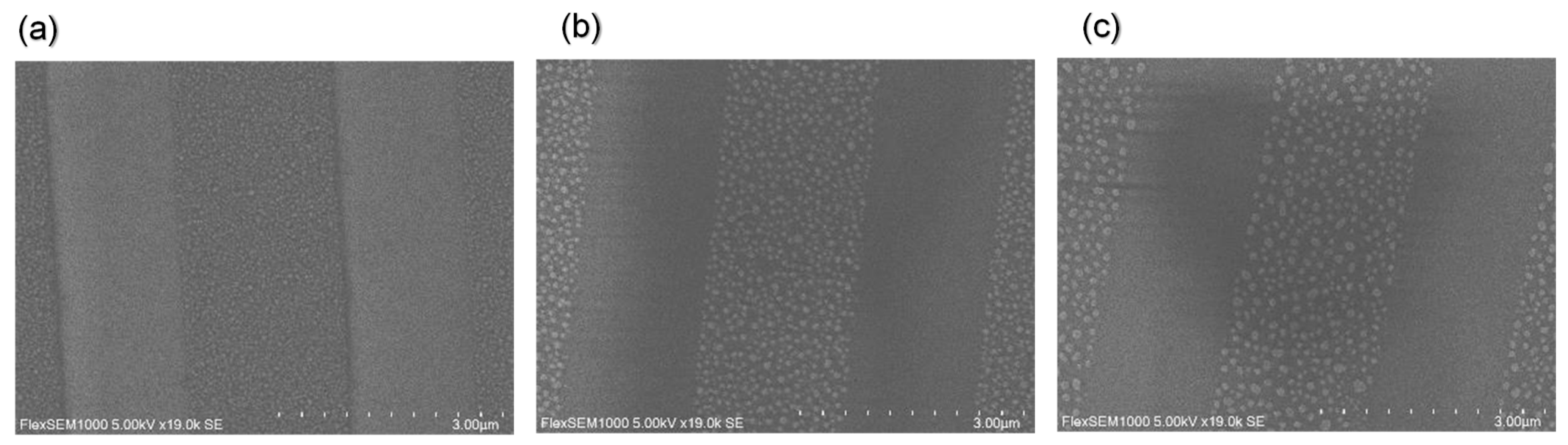 Nanomaterials 14 01605 g007