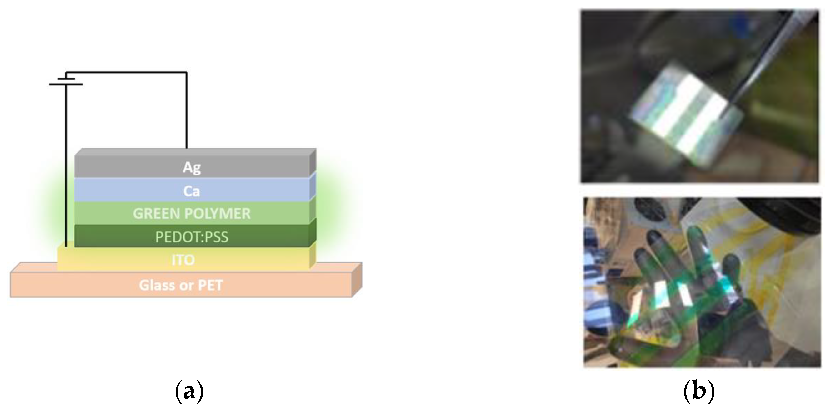Nanomaterials 14 01608 sch001