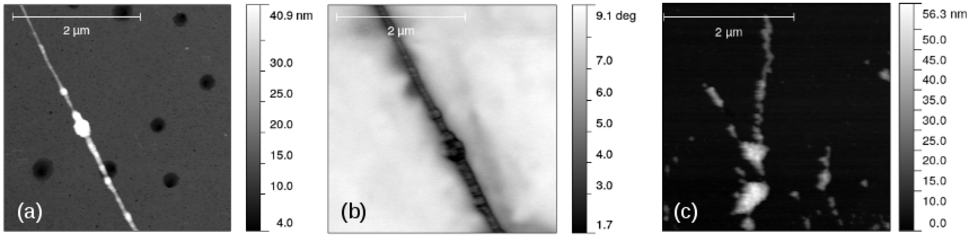 Nanomaterials 14 01609 g010