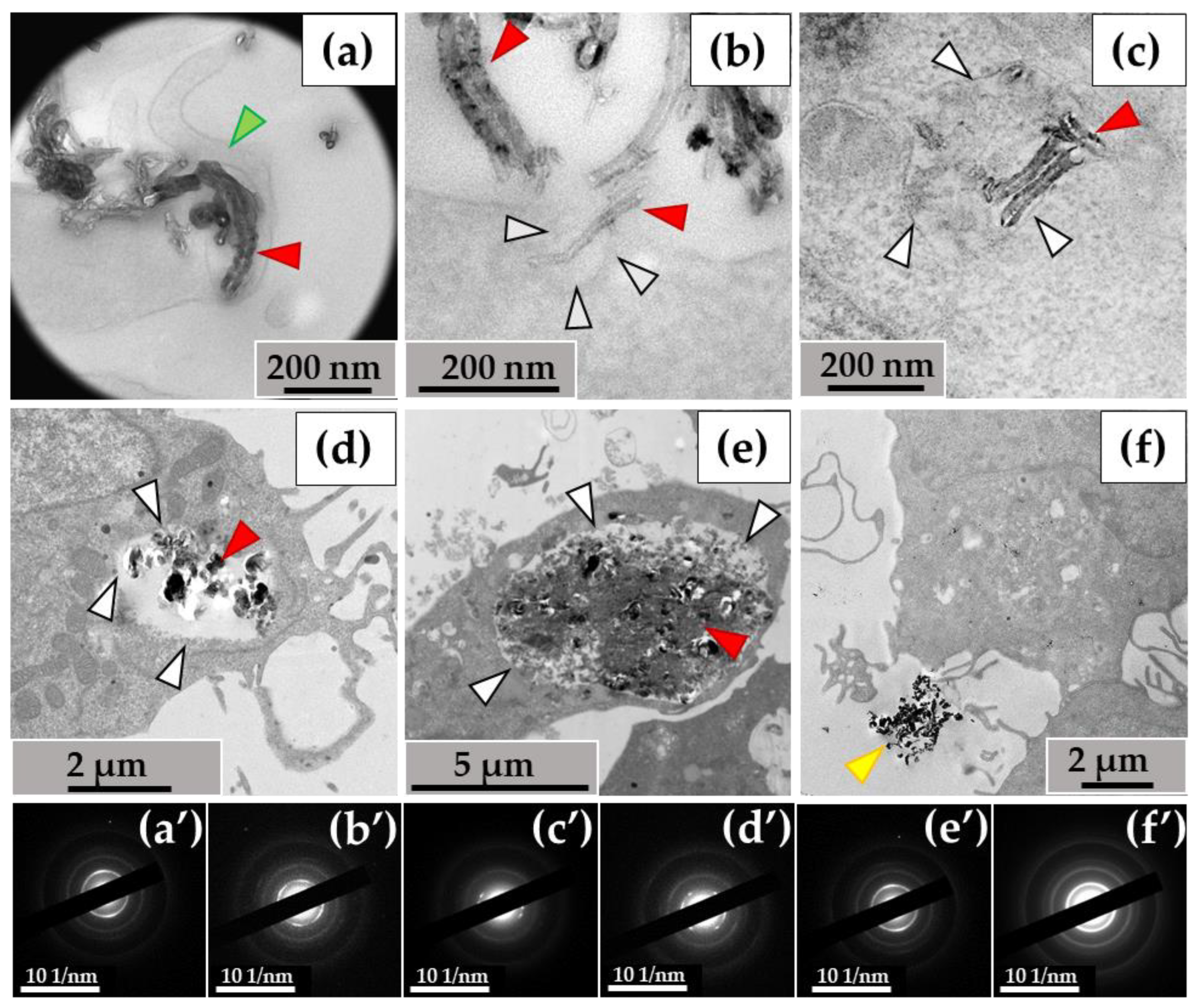 Nanomaterials 14 01616 g003
