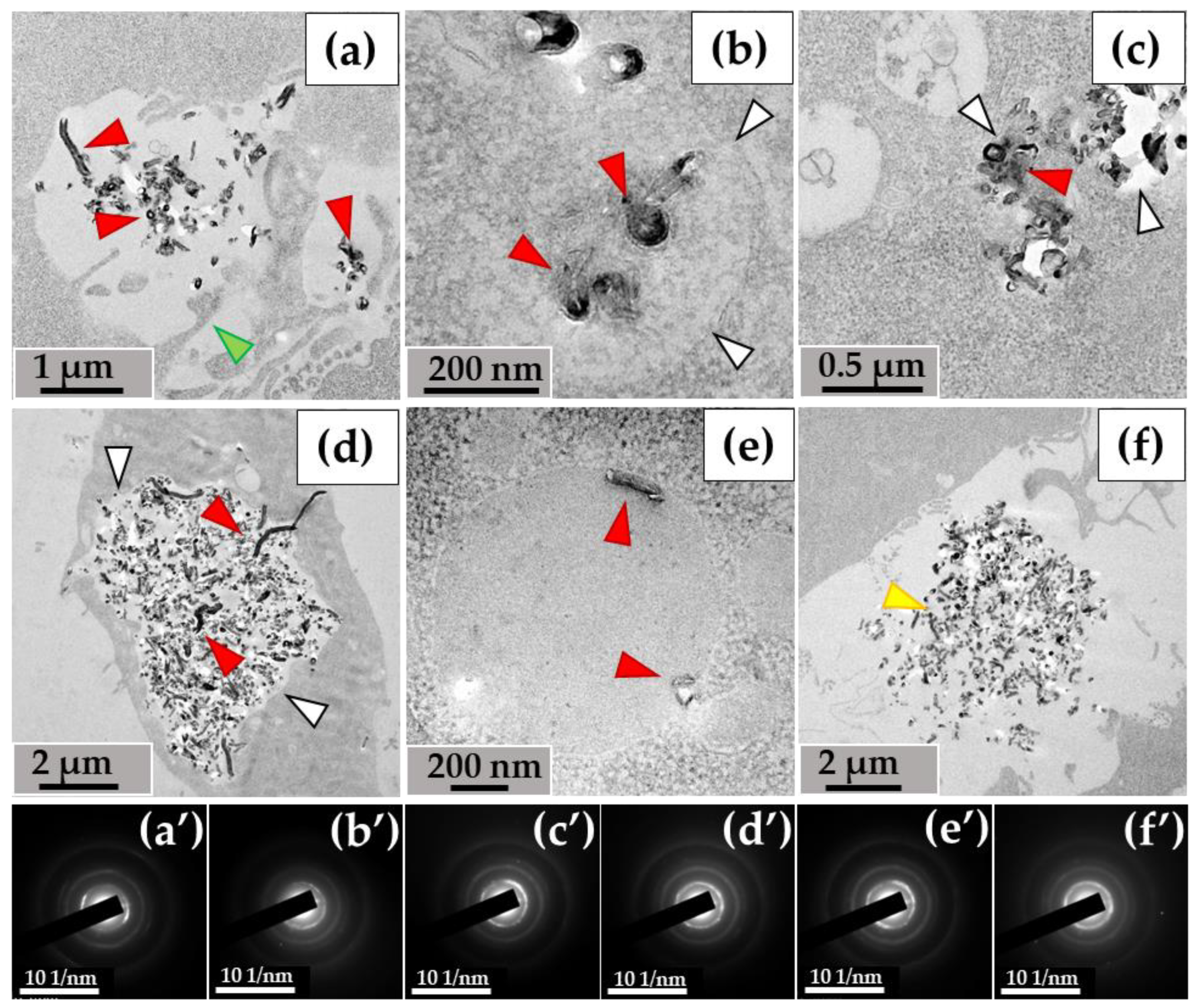 Nanomaterials 14 01616 g004