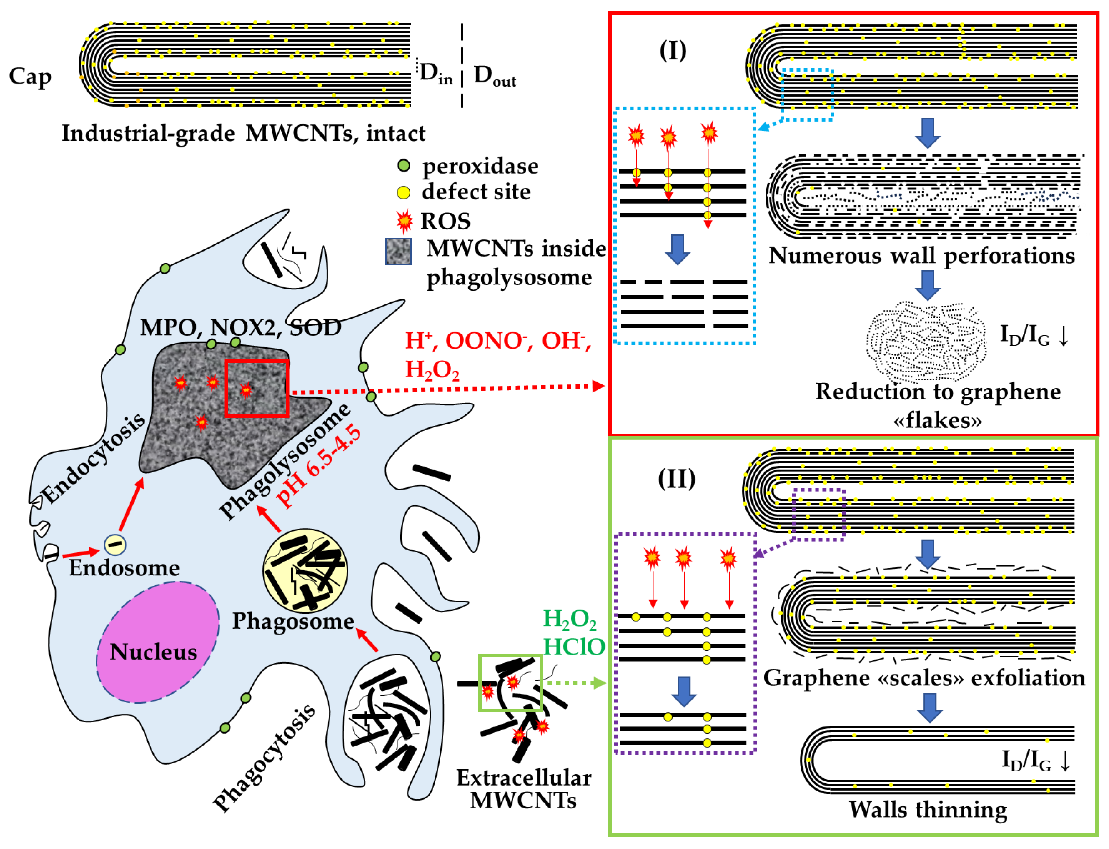 Nanomaterials 14 01616 g011