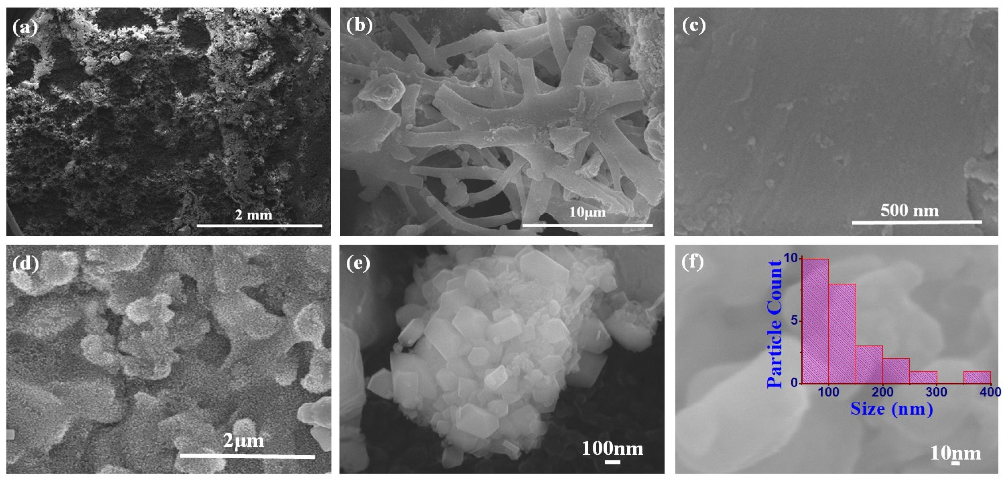 Nanomaterials 14 01620 g003