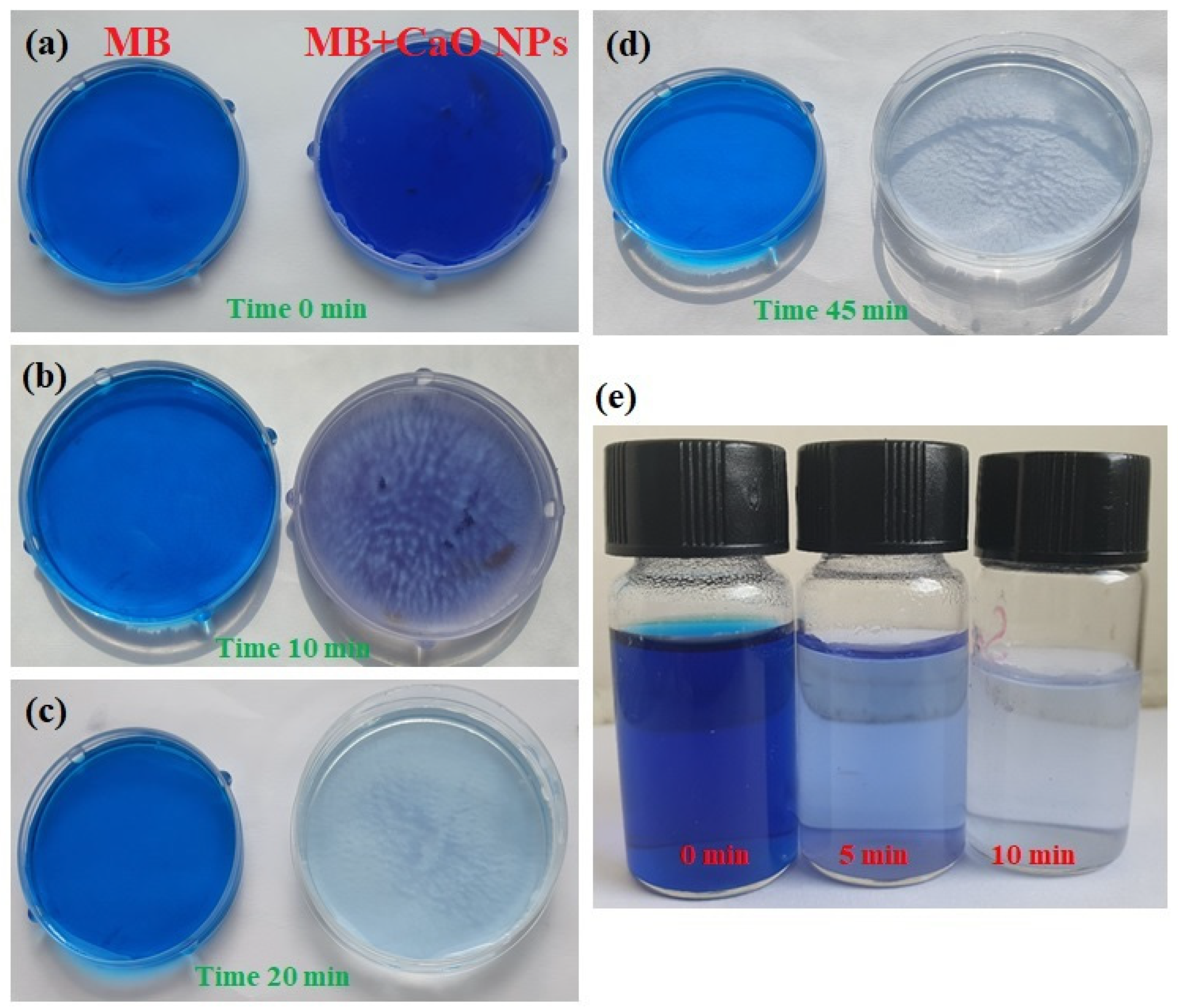Nanomaterials 14 01620 g010