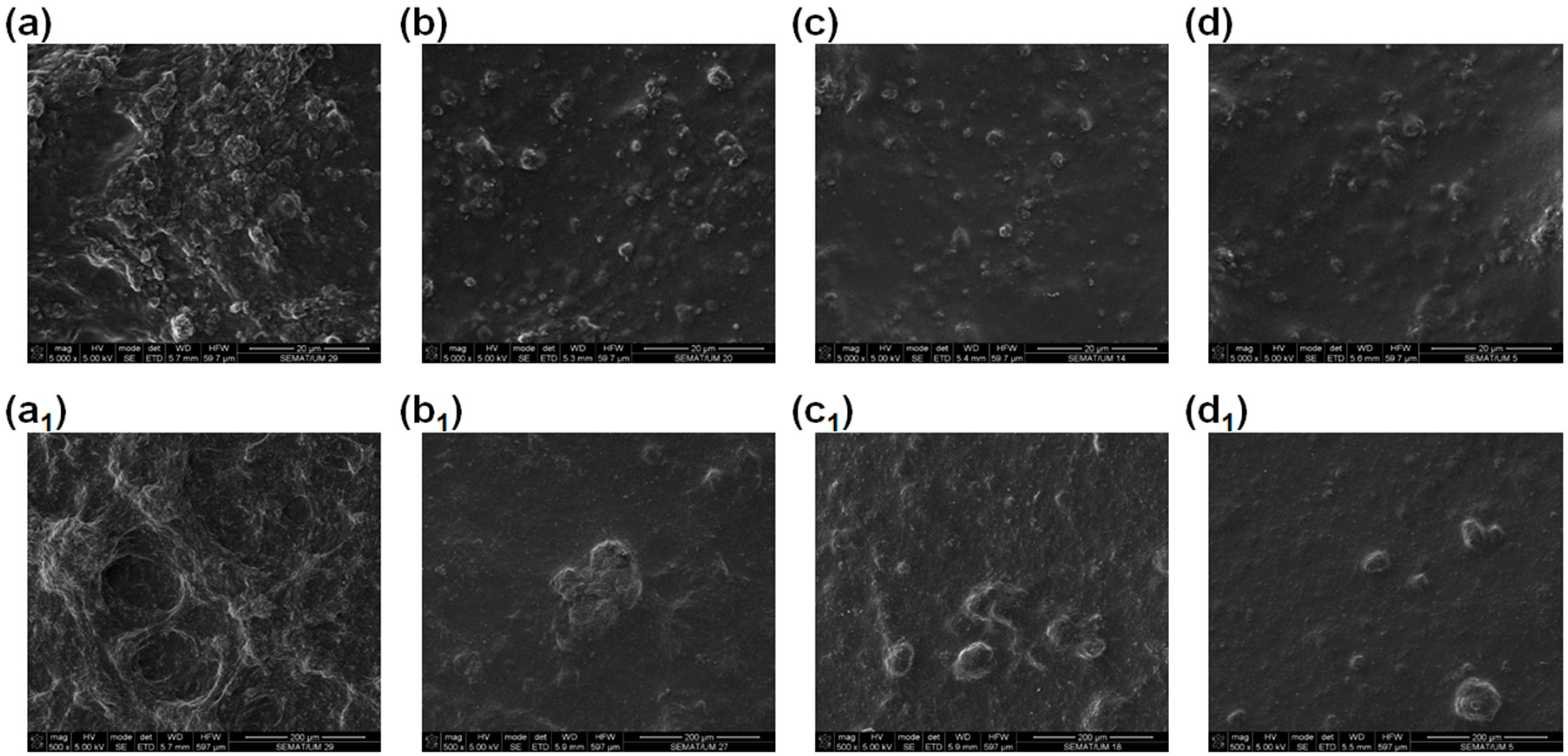 Nanomaterials 14 01653 g005