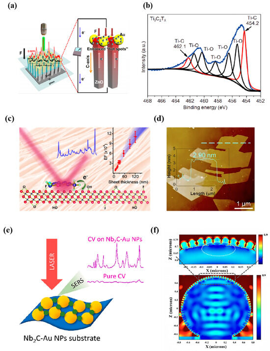 Nanomaterials 14 01654 g006