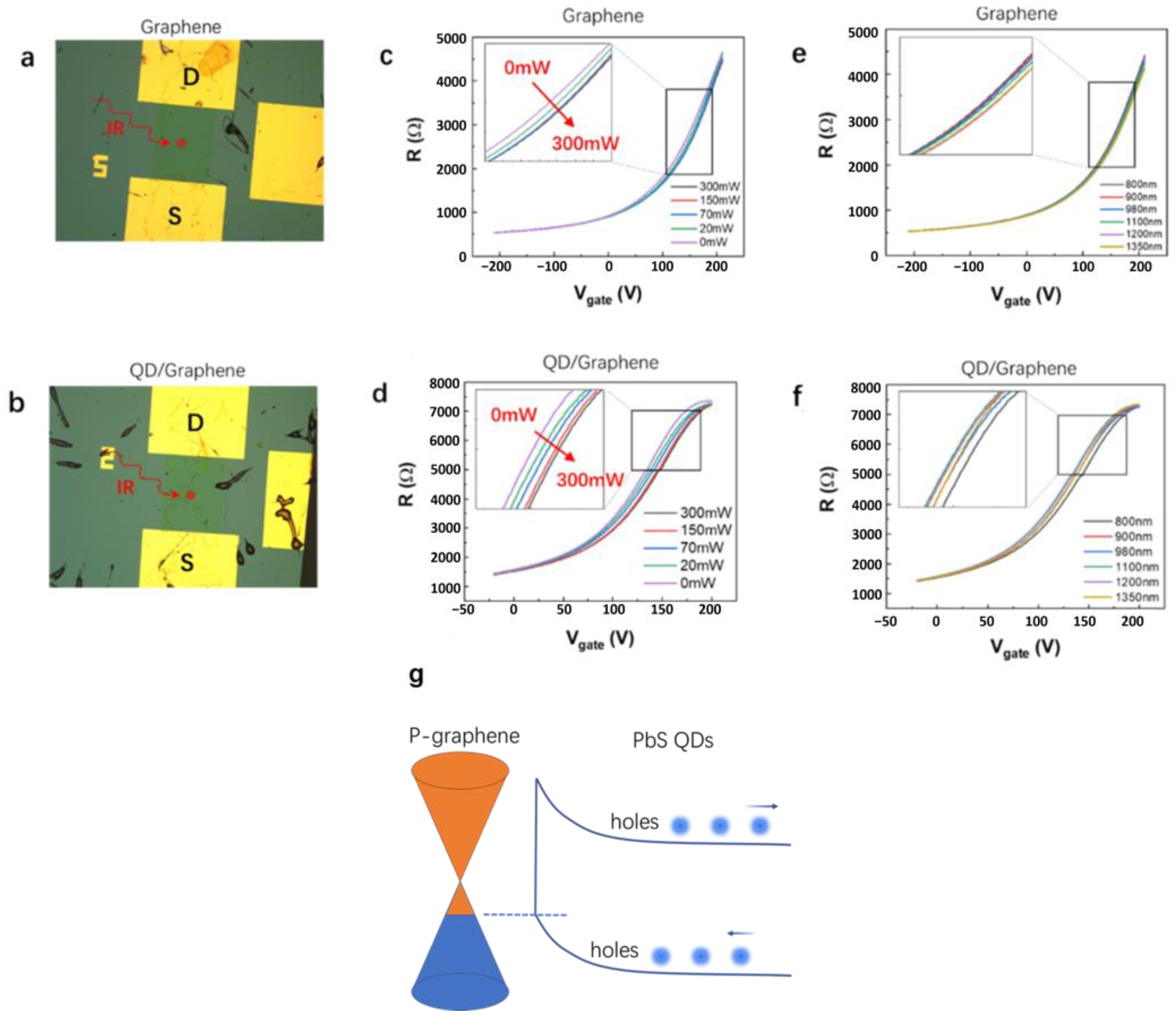Nanomaterials 14 01656 g005