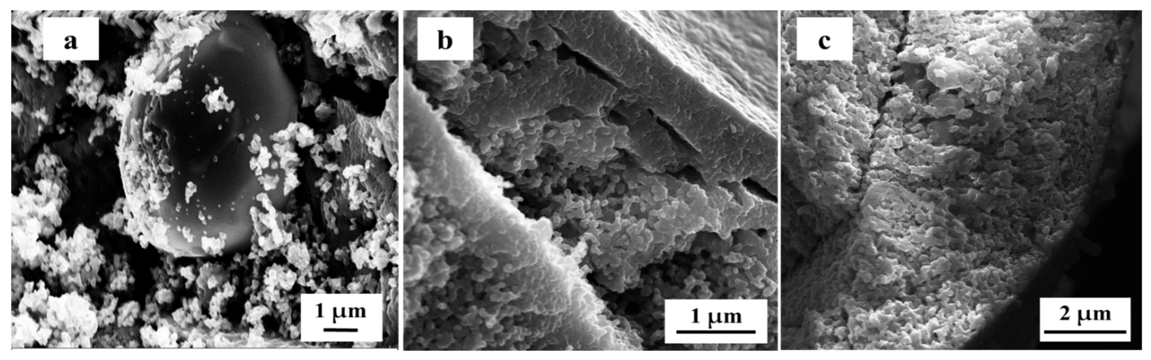 Nanomaterials 14 01663 g004