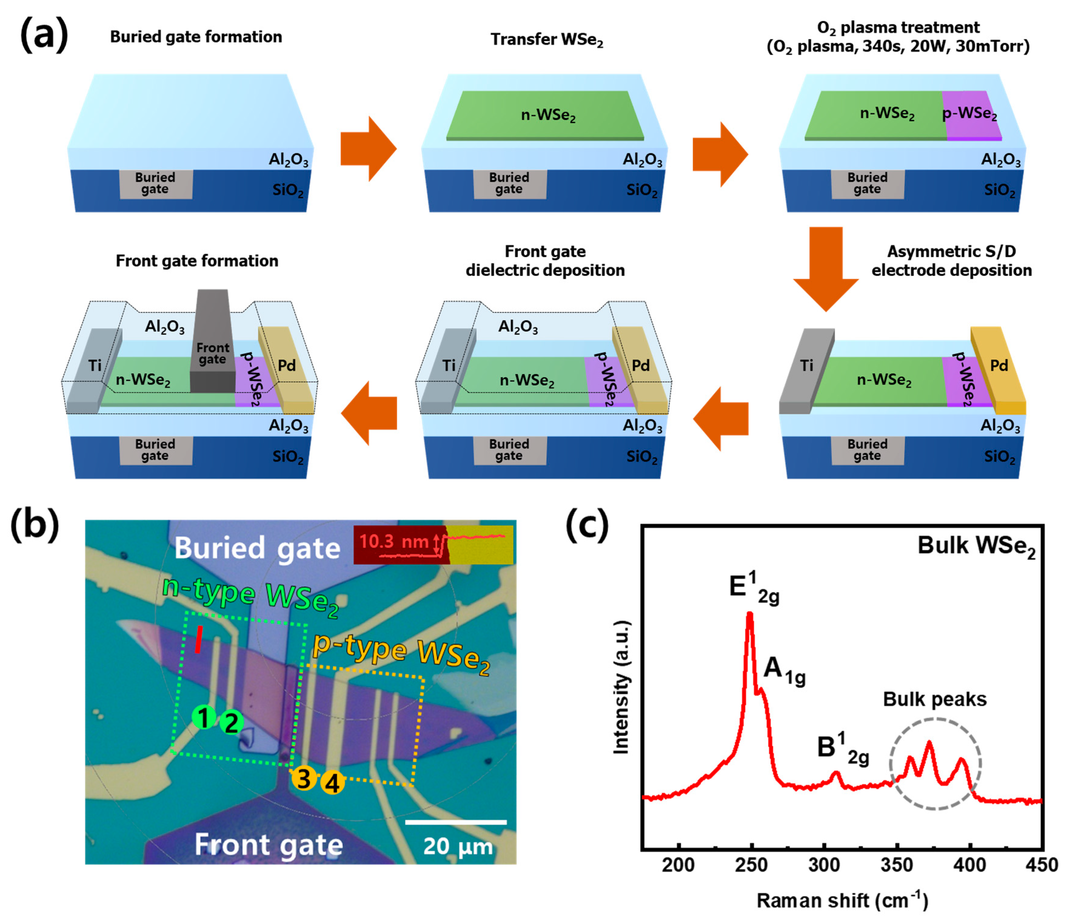 Nanomaterials 14 01667 g001