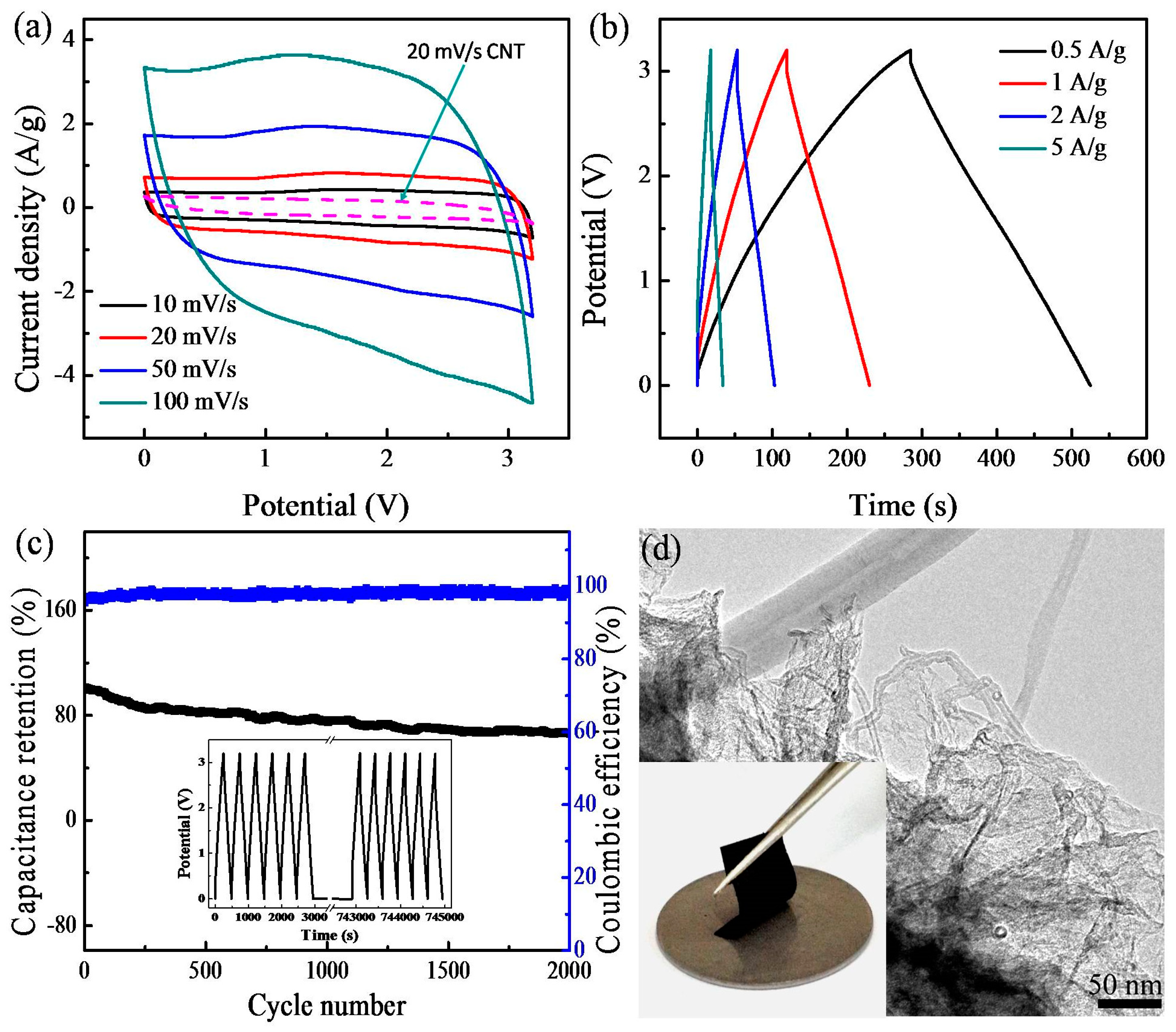 Nanomaterials 14 01683 g003