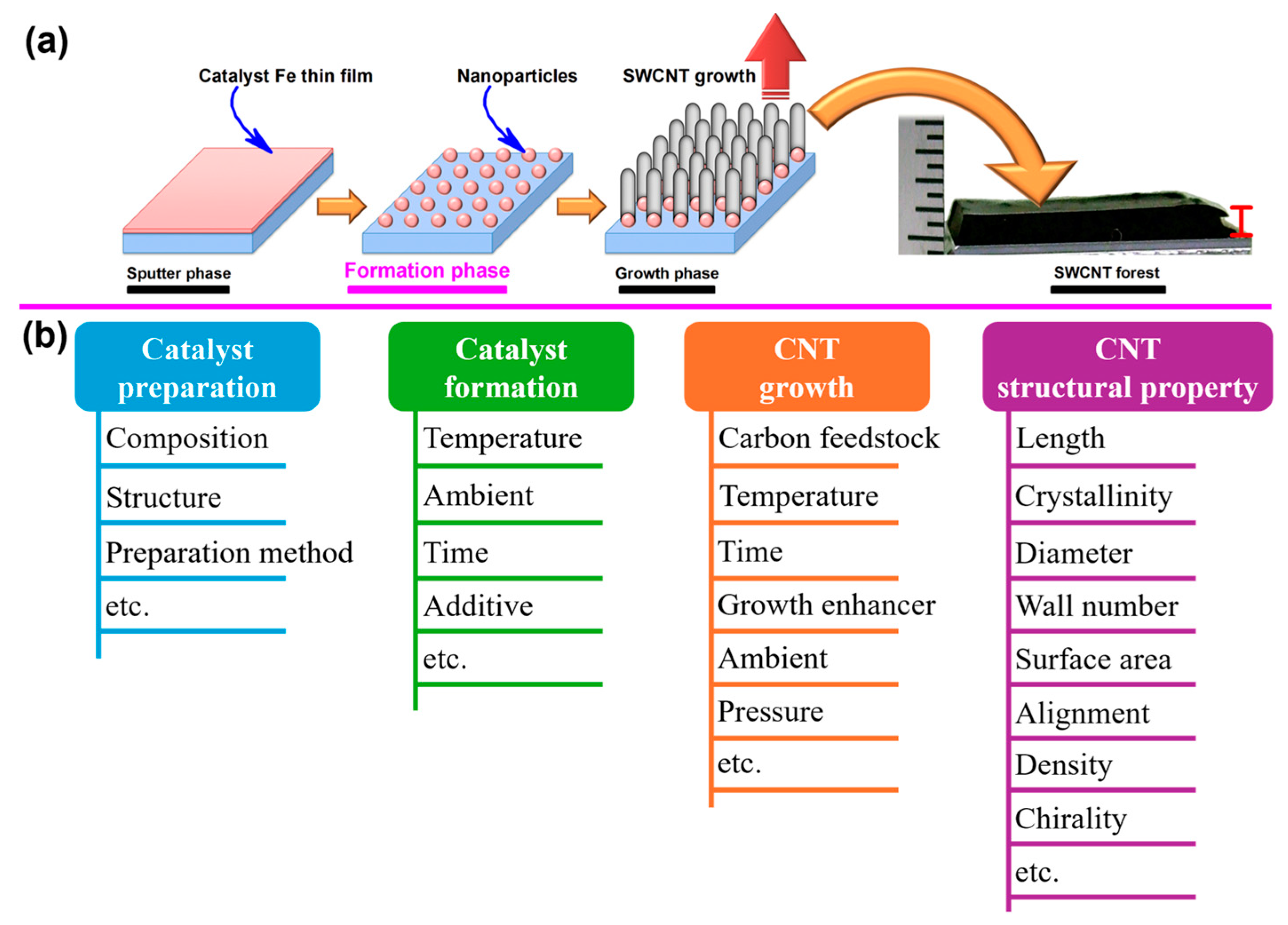 Nanomaterials 14 01688 g002