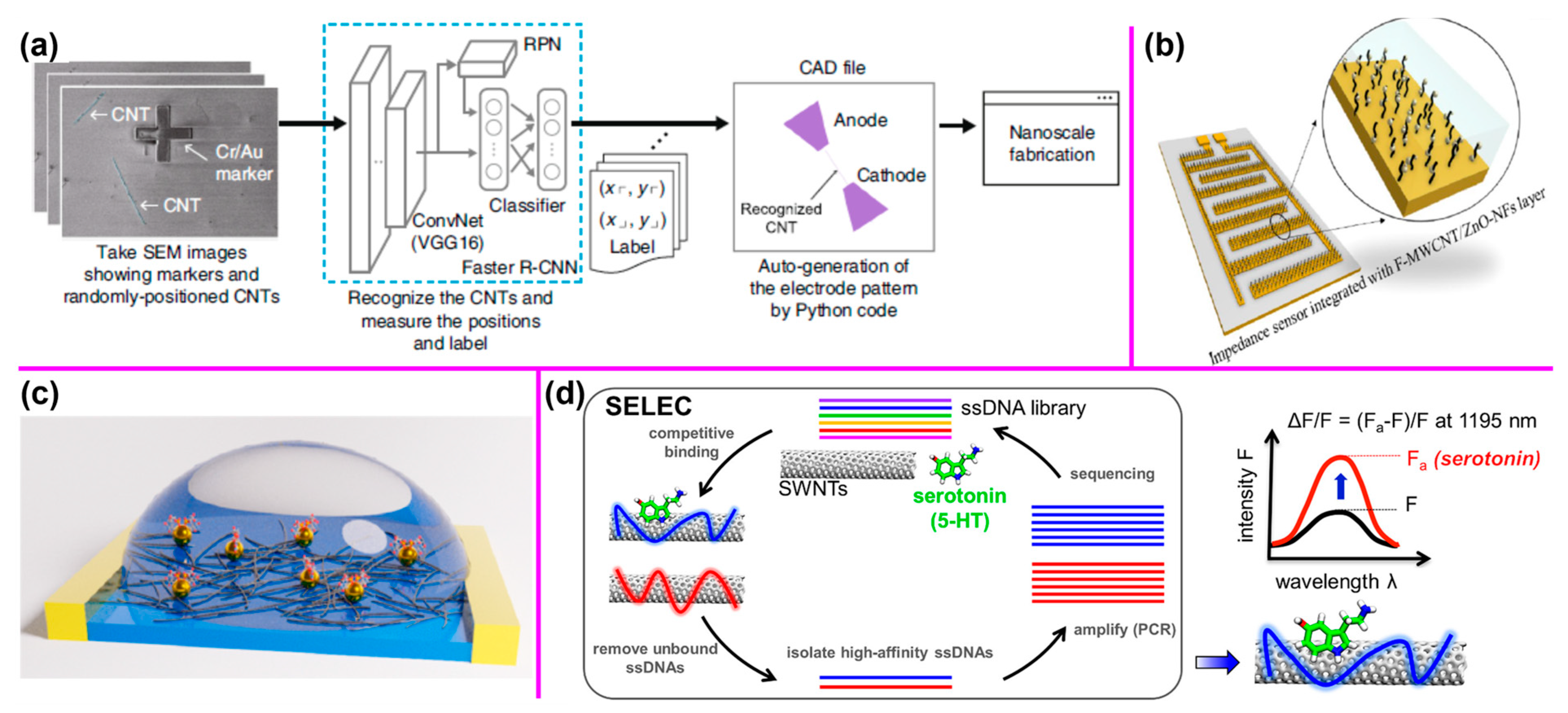 Nanomaterials 14 01688 g007