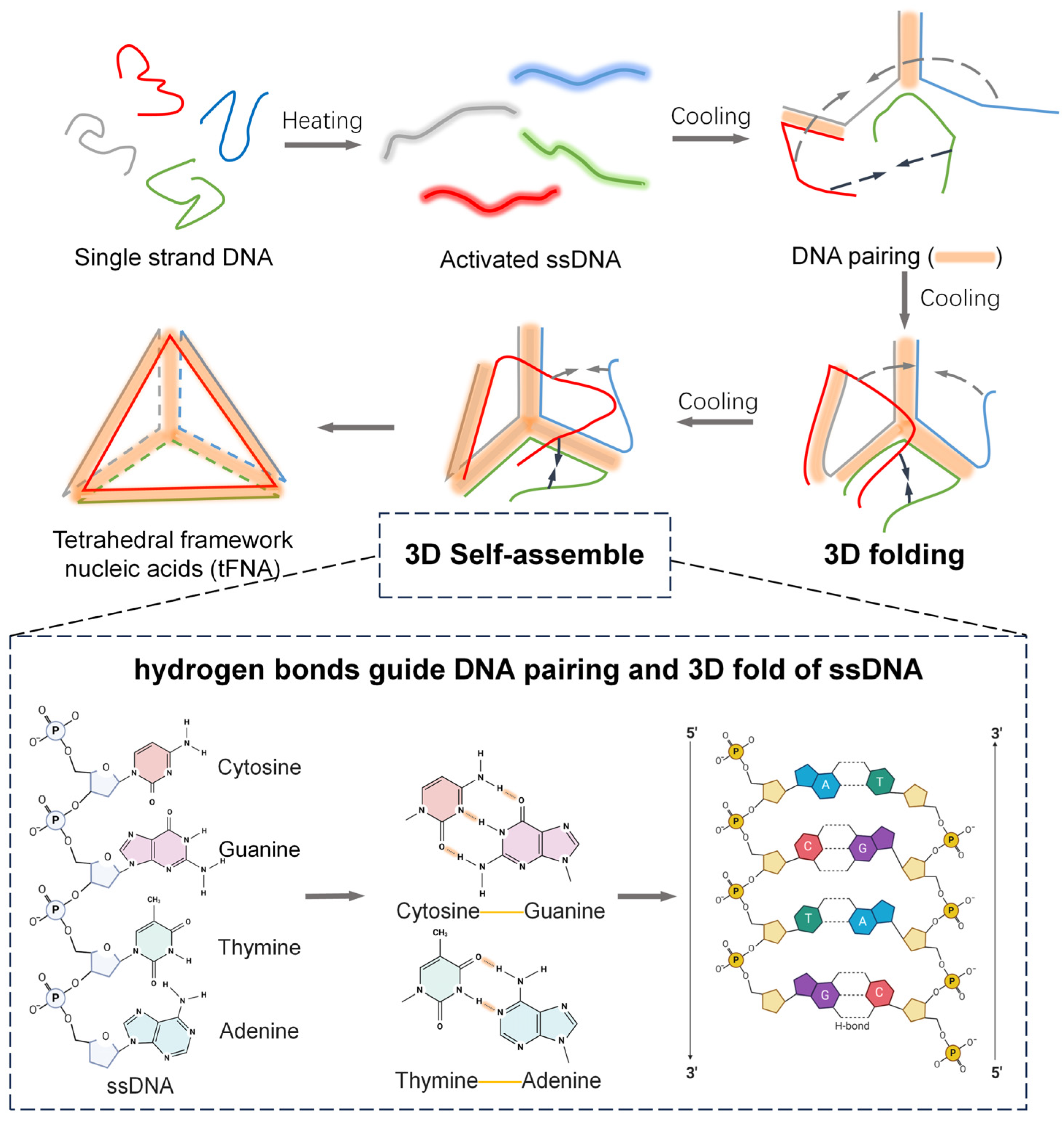 Nanomaterials 14 01693 g001