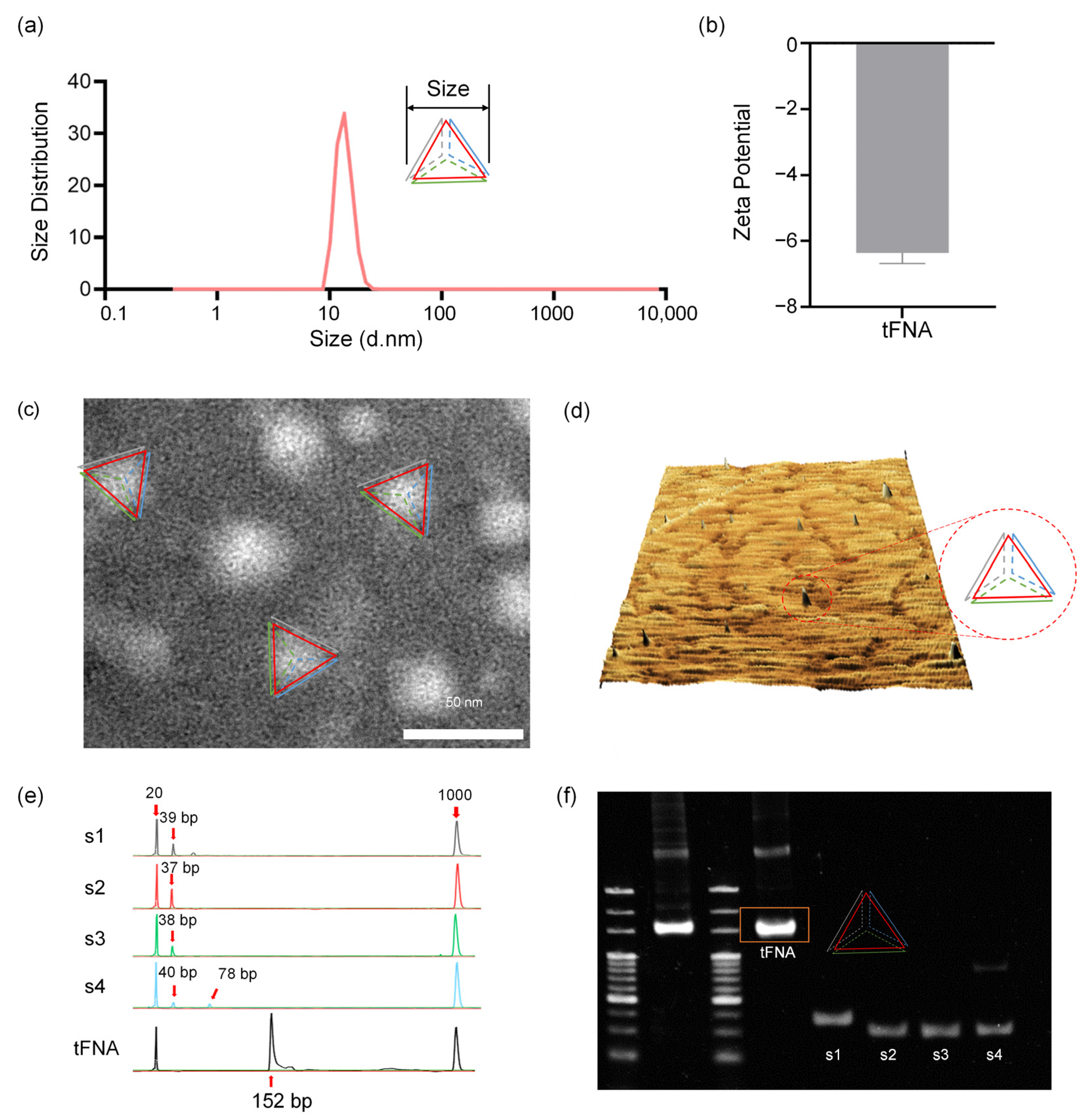 Nanomaterials 14 01693 g002
