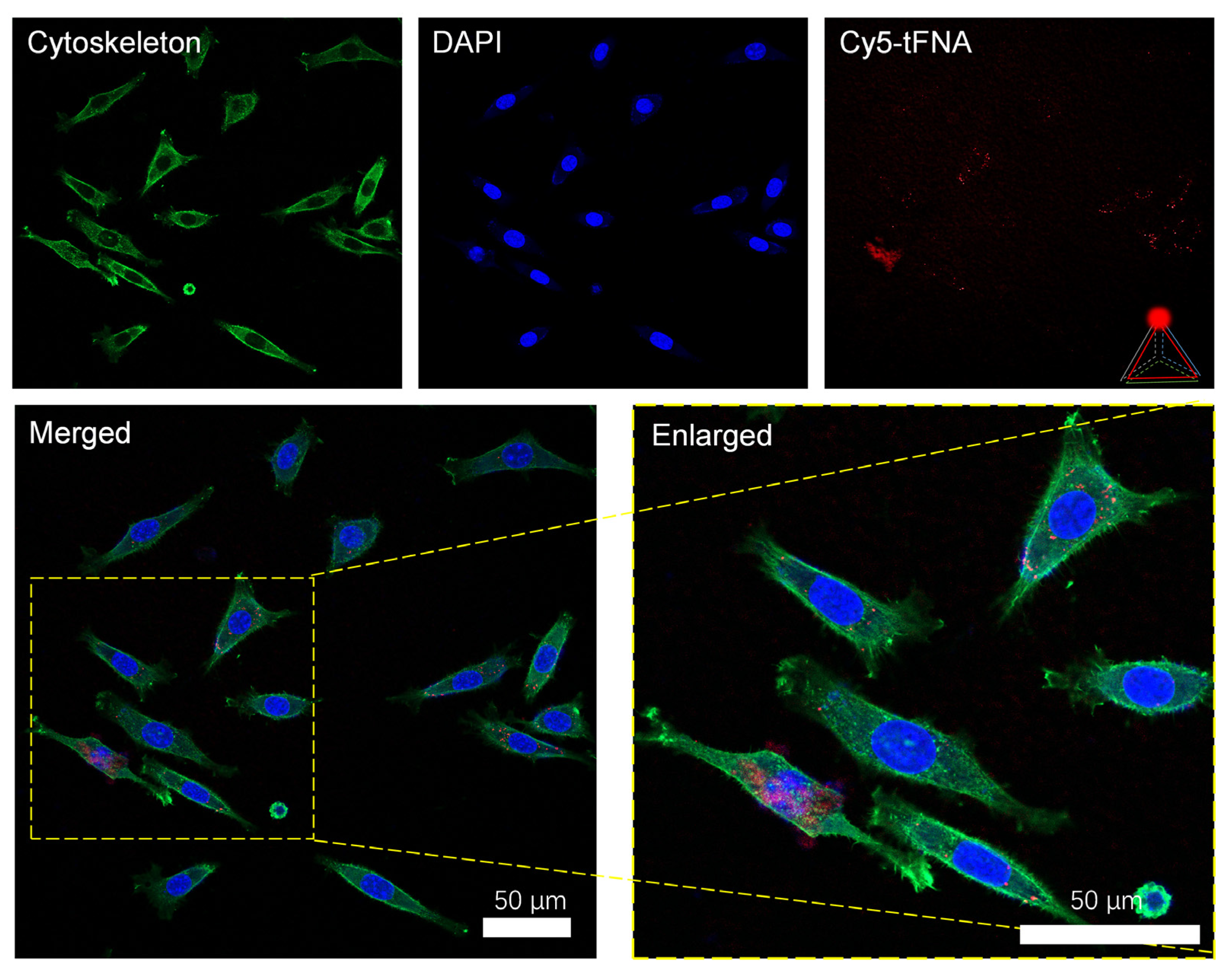 Nanomaterials 14 01693 g003