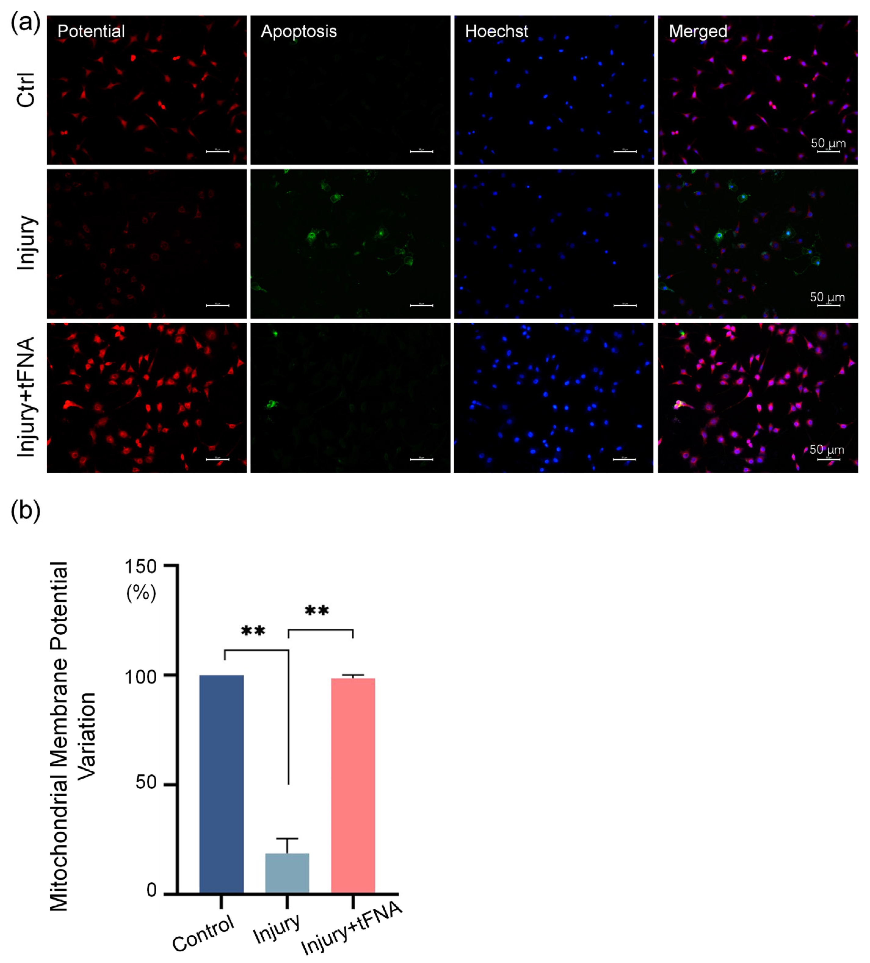 Nanomaterials 14 01693 g005