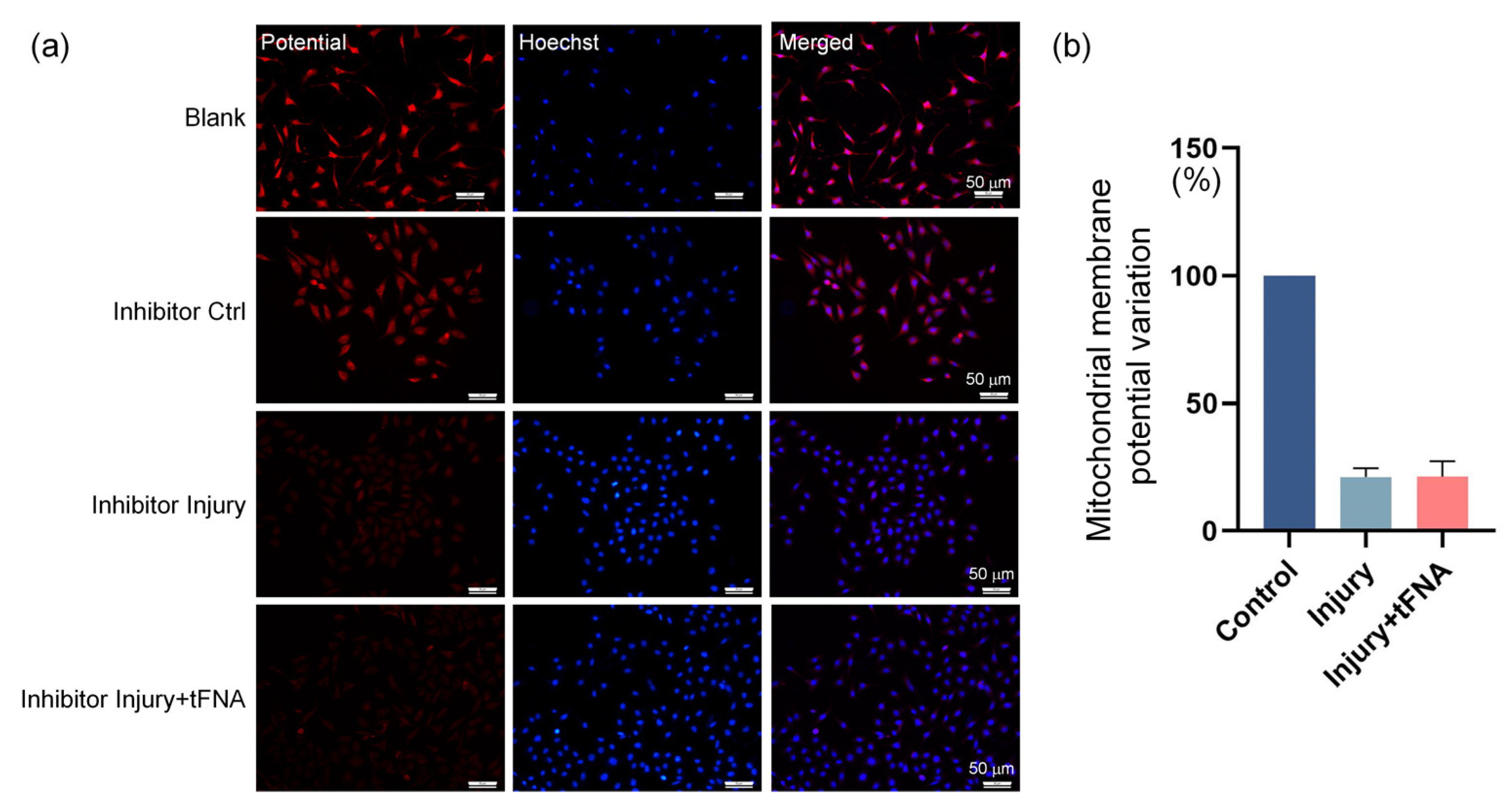 Nanomaterials 14 01693 g009