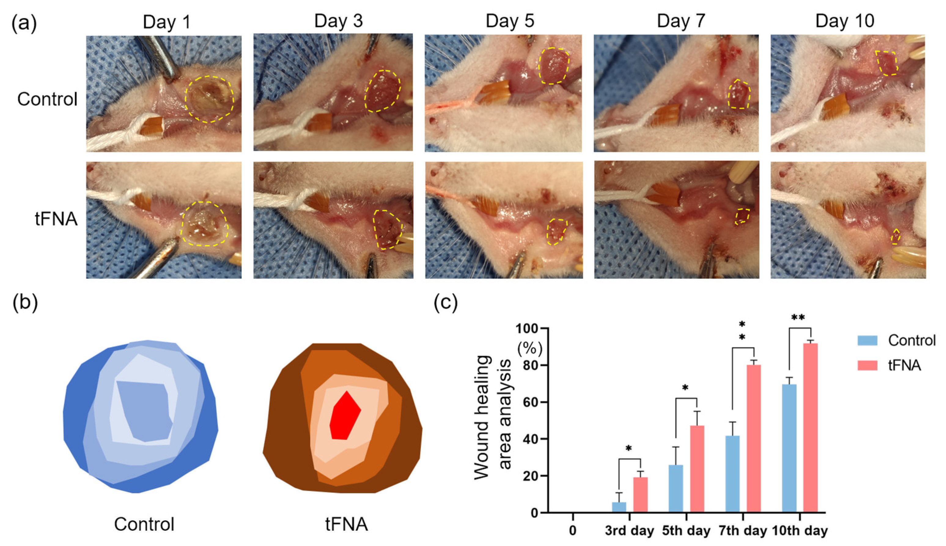 Nanomaterials 14 01693 g012