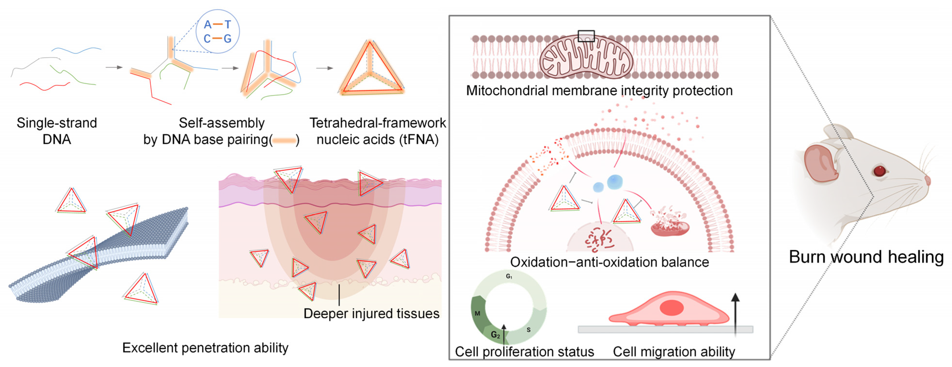 Nanomaterials 14 01693 g014