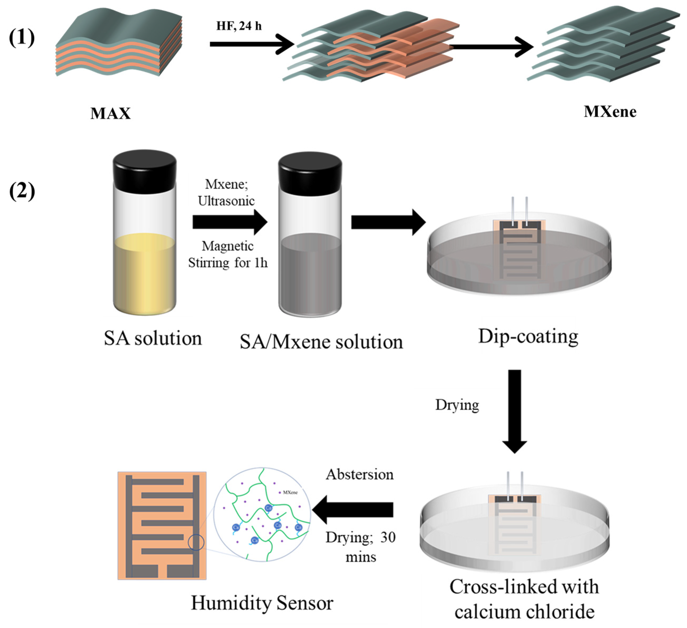 Nanomaterials 14 01694 g001