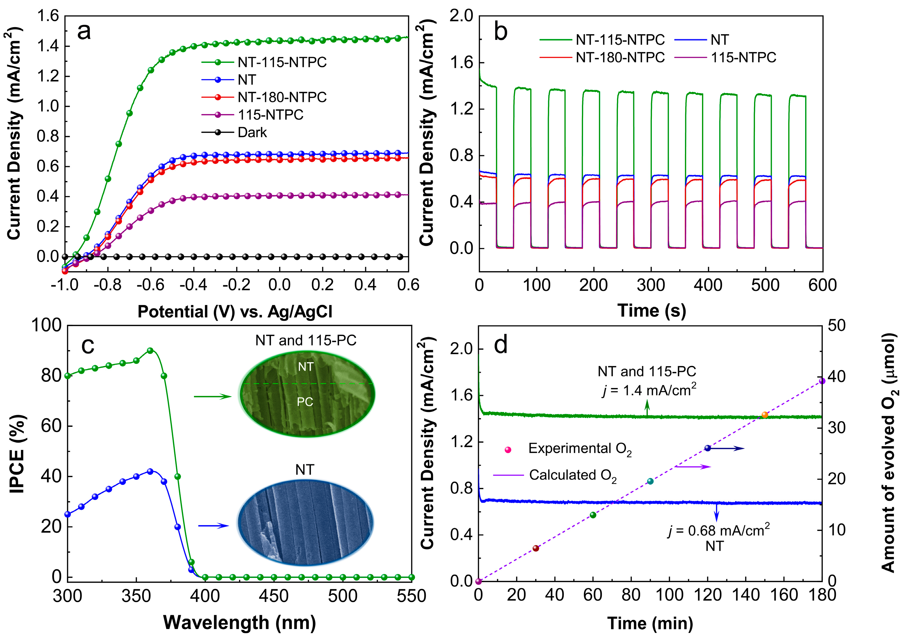 Nanomaterials 14 01695 g004