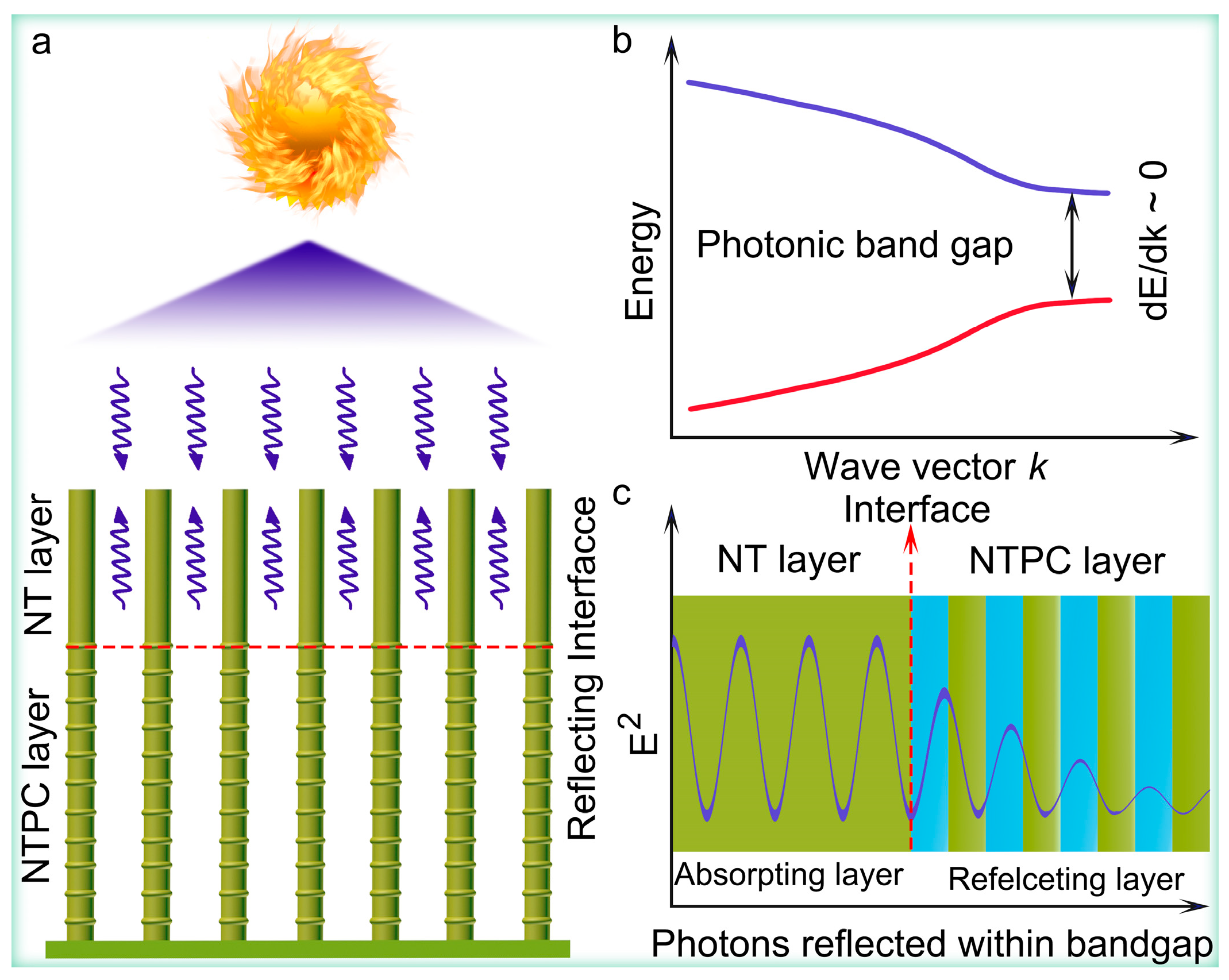 Nanomaterials 14 01695 g005