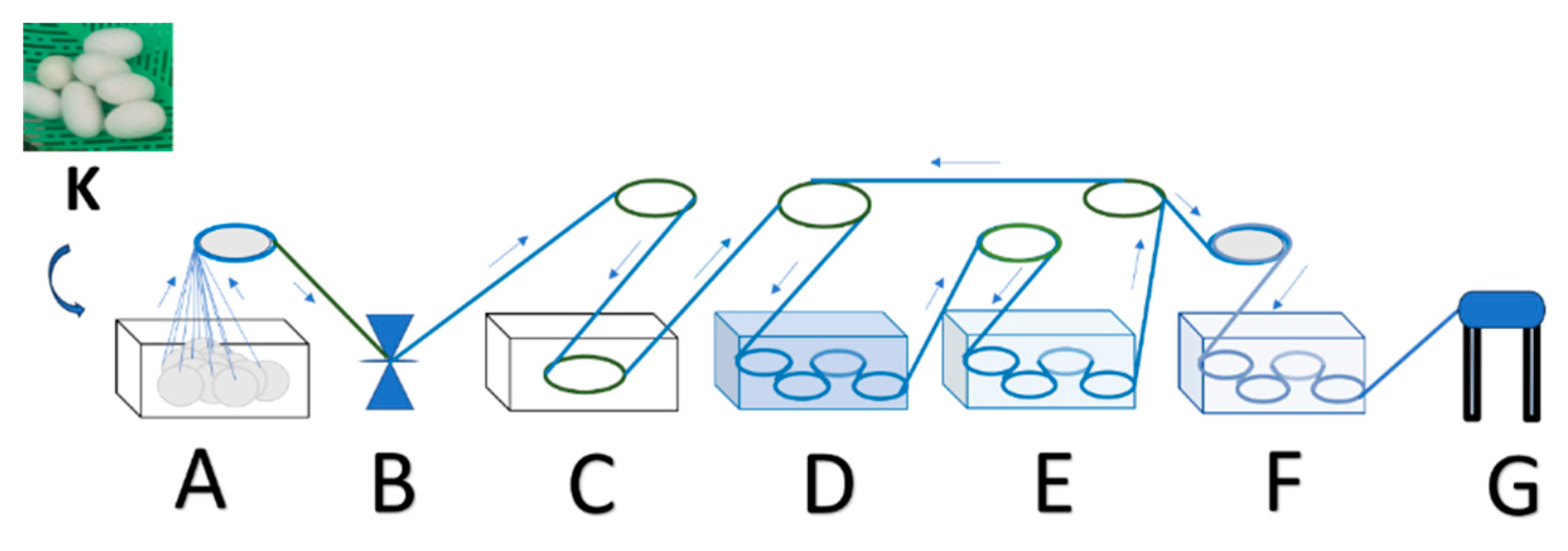 Nanomaterials 14 01697 g001