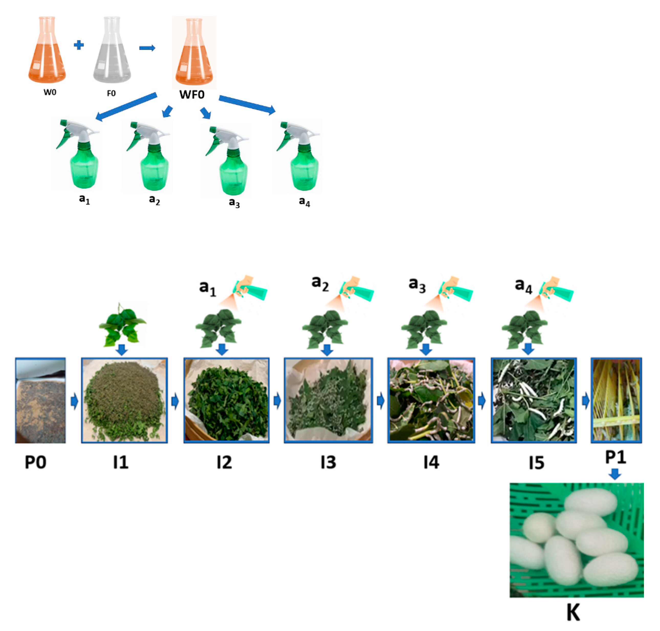 Nanomaterials 14 01697 g002