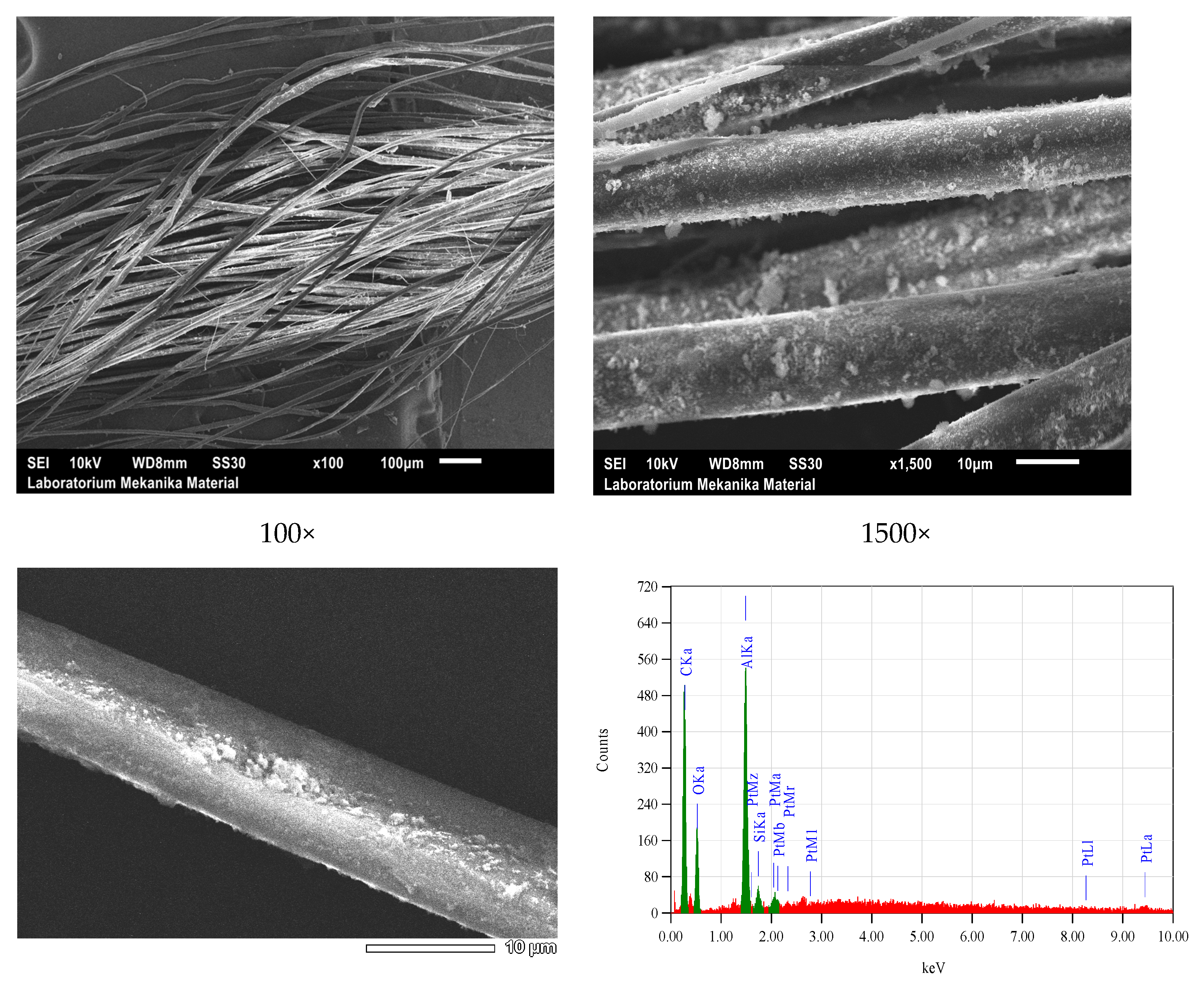 Nanomaterials 14 01697 g013