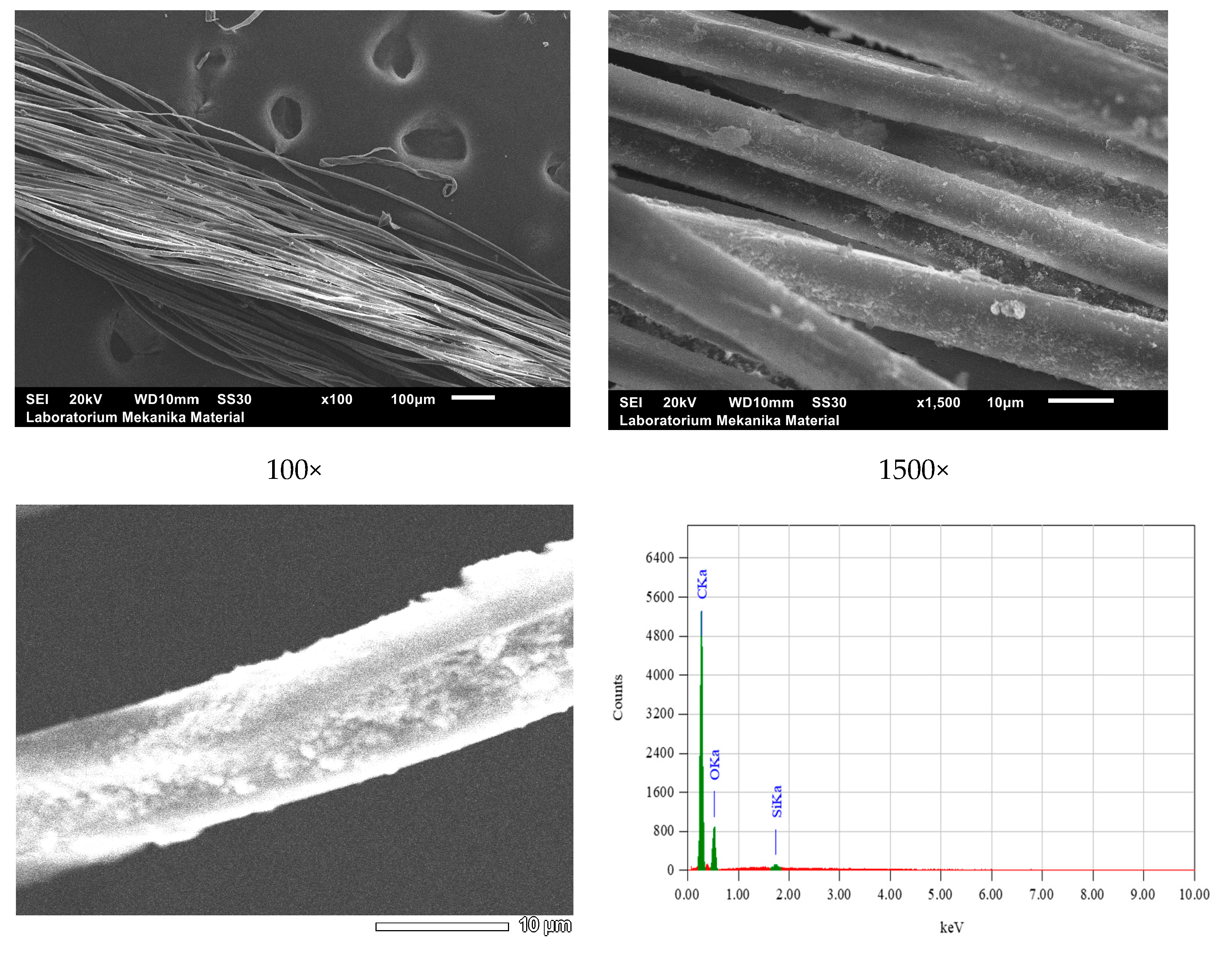Nanomaterials 14 01697 g014