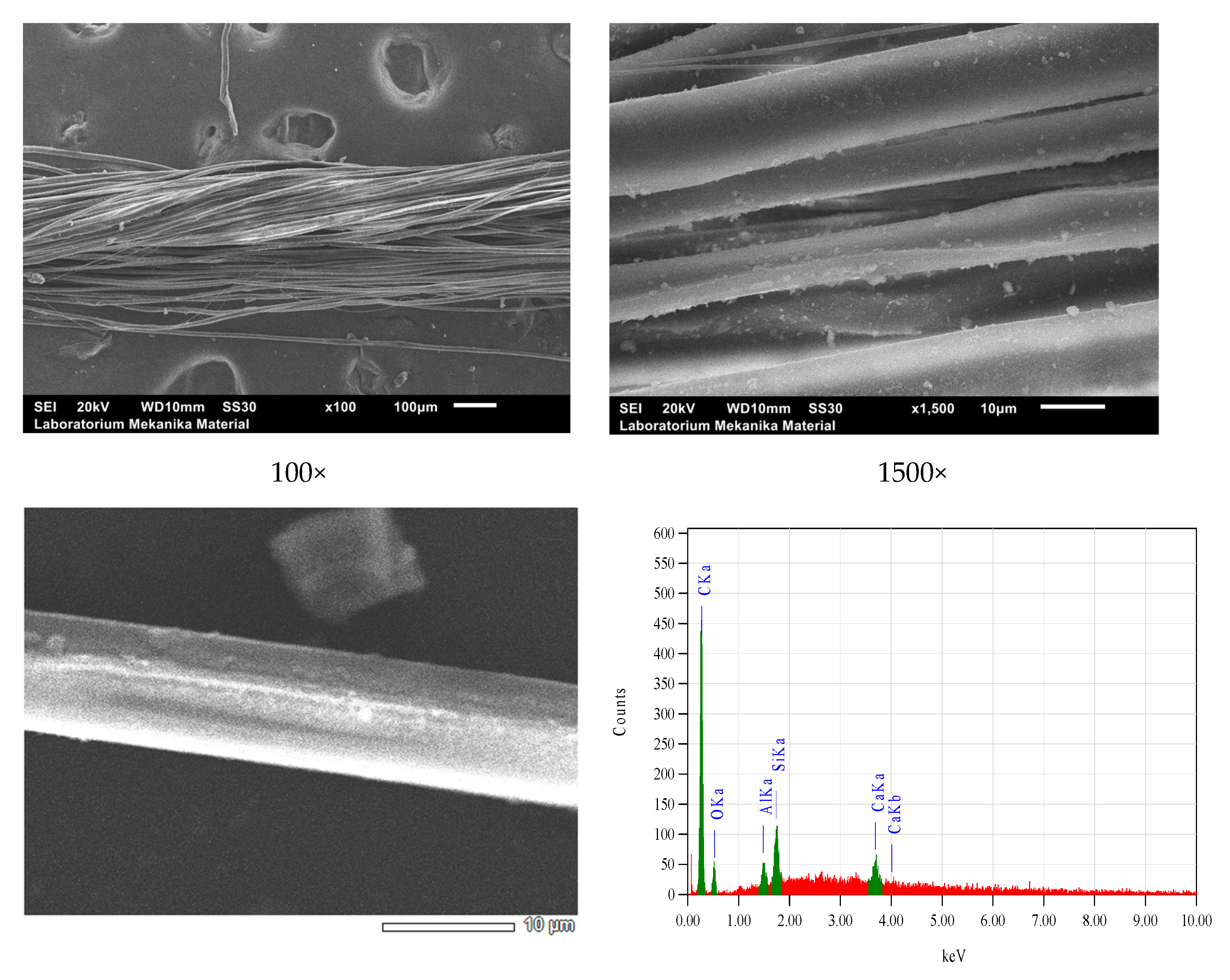 Nanomaterials 14 01697 g015