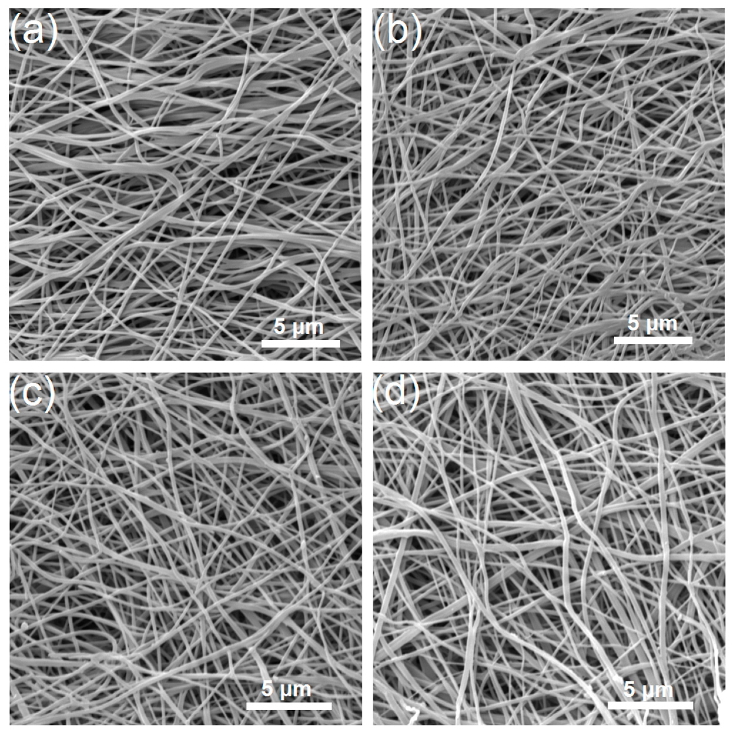 Nanomaterials 14 01701 g001