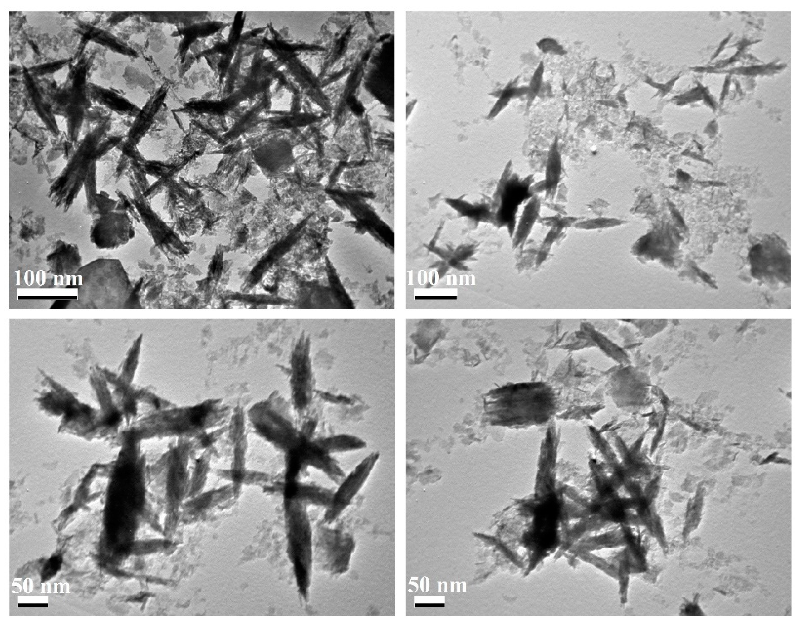 Nanomaterials 14 01701 g003