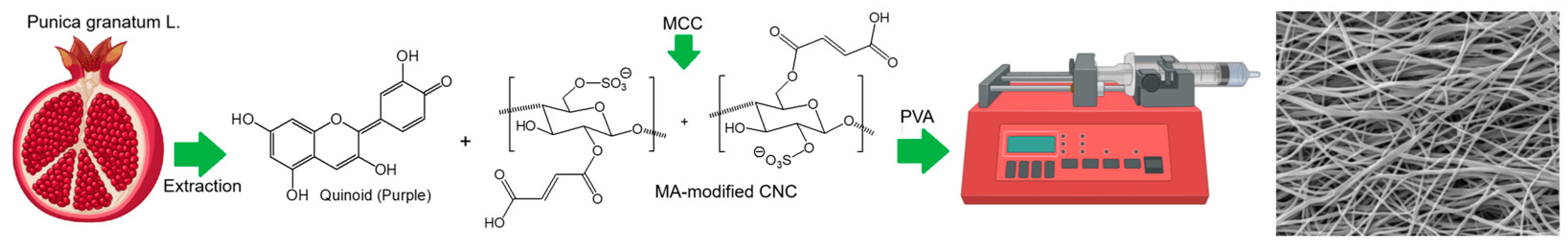 Nanomaterials 14 01701 sch001