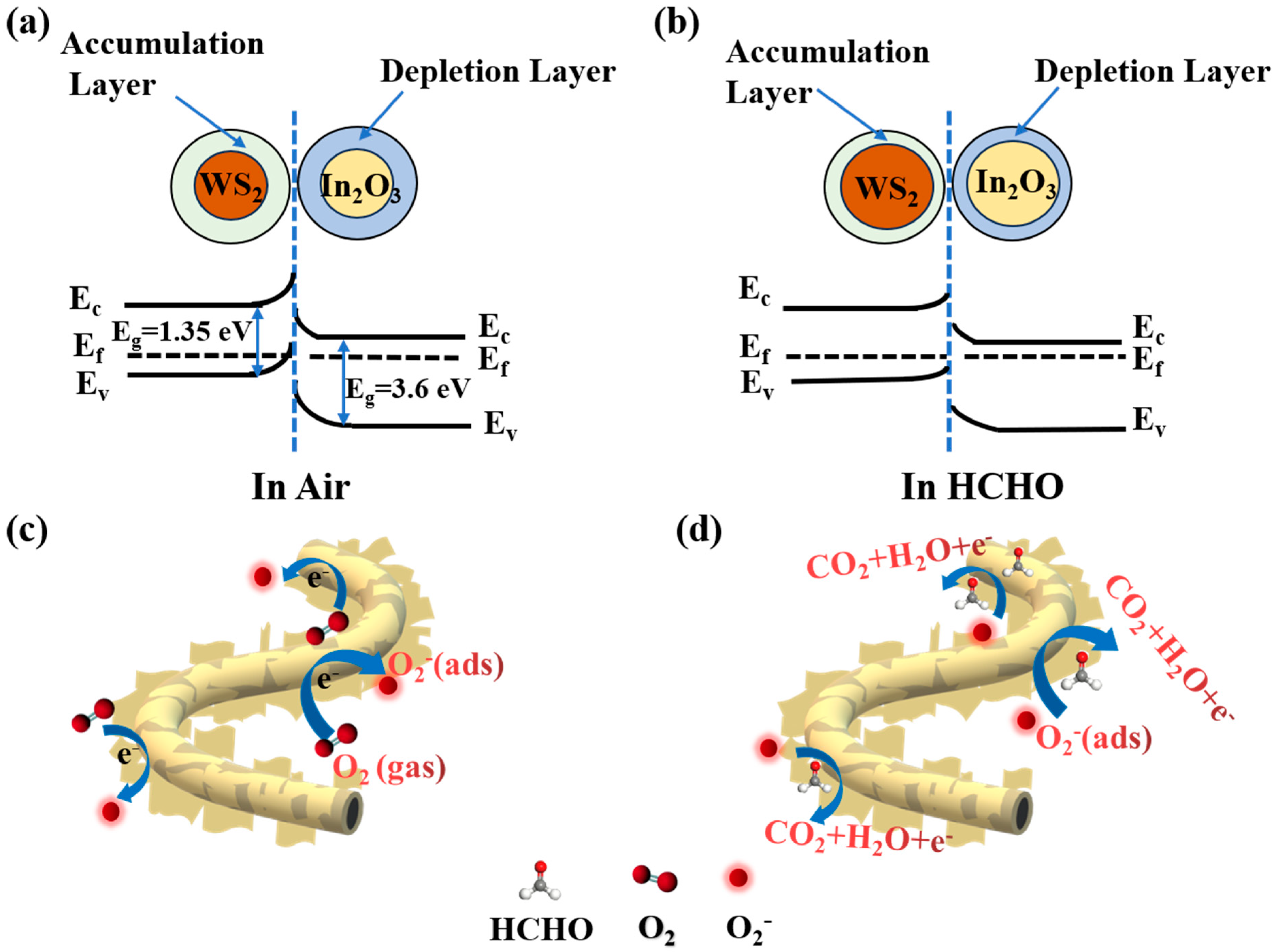 Nanomaterials 14 01702 g005 Nanomaterials 14 01702 g005