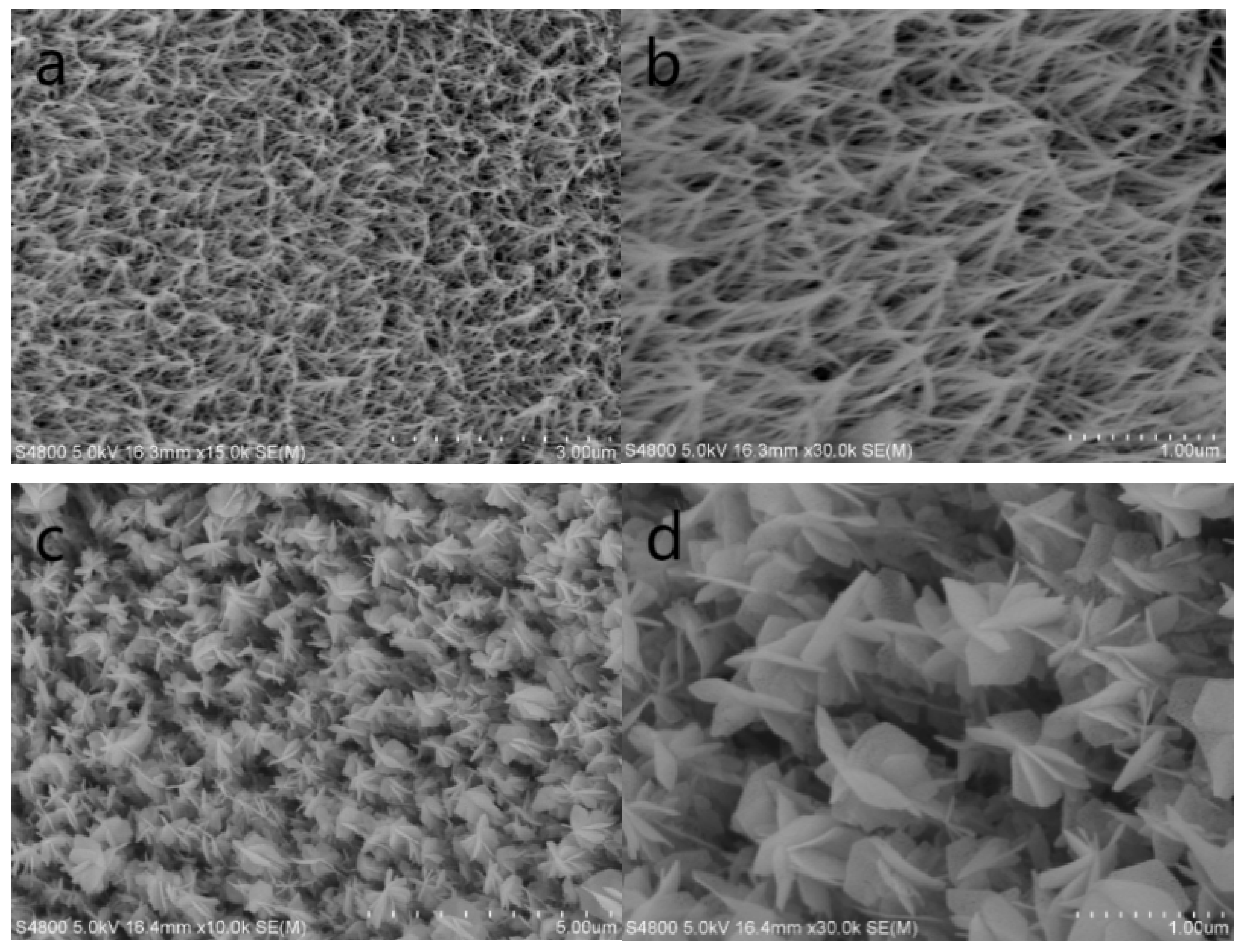 Nanomaterials 14 01703 g002