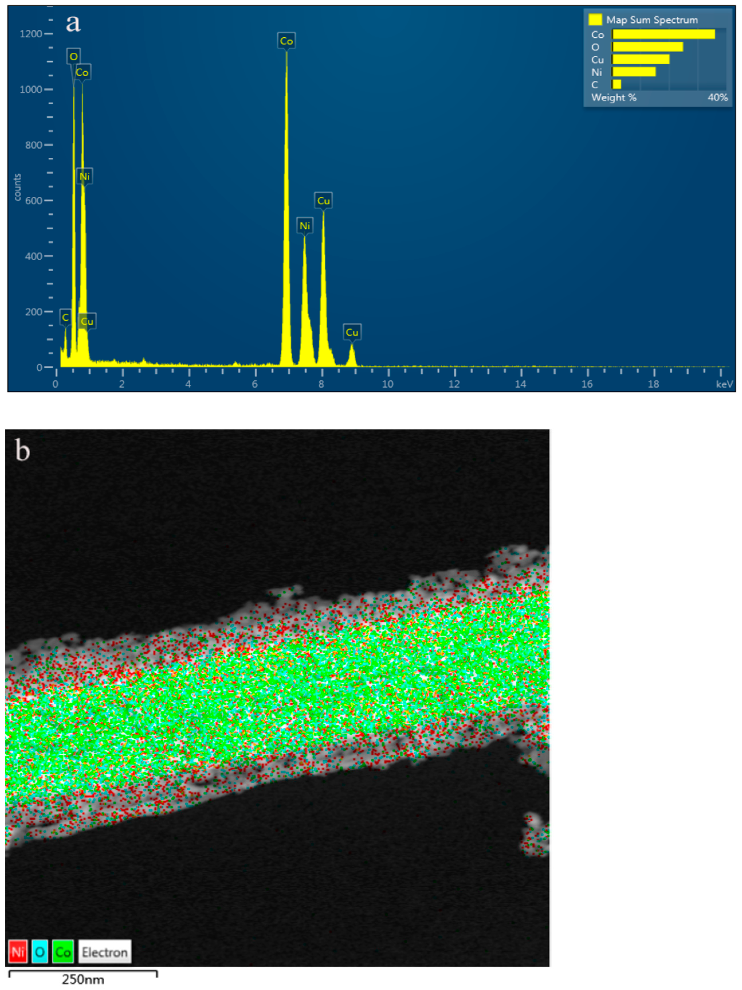 Nanomaterials 14 01703 g004