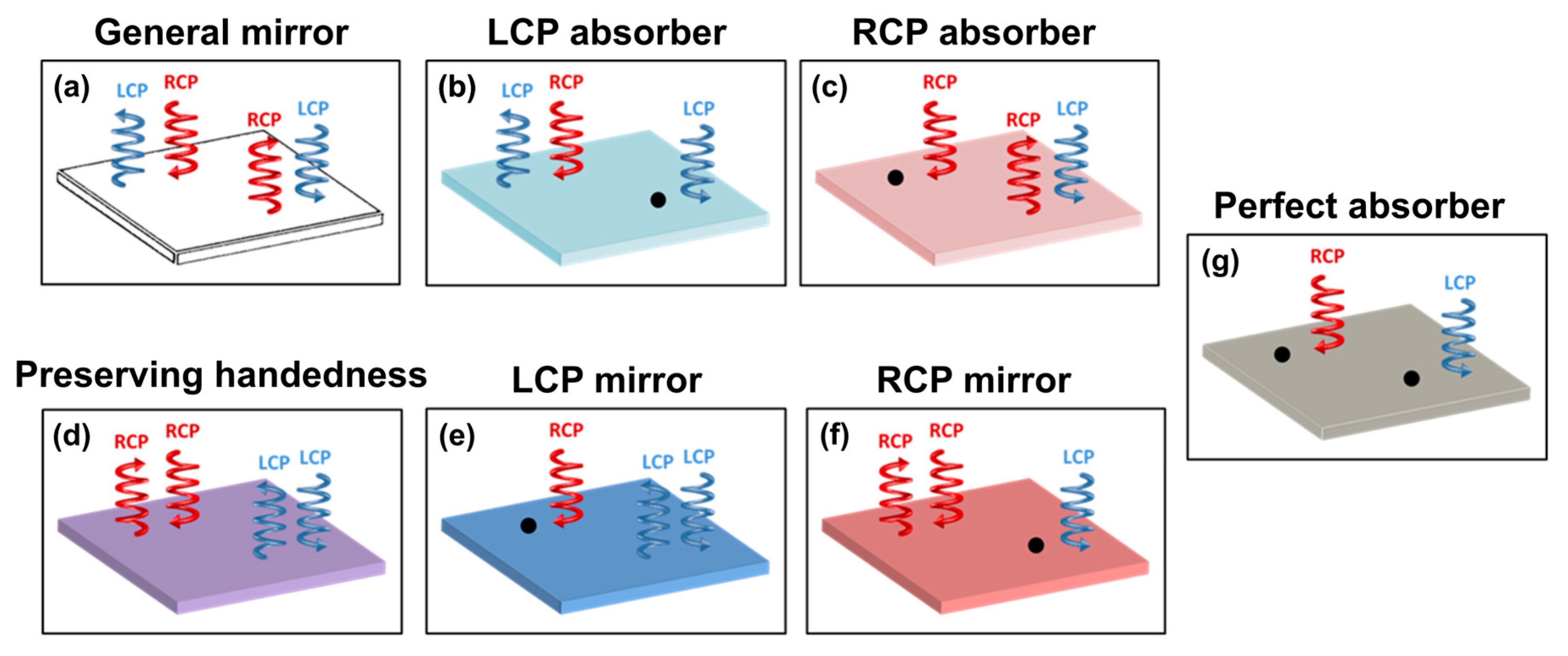 Nanomaterials 14 01705 g001