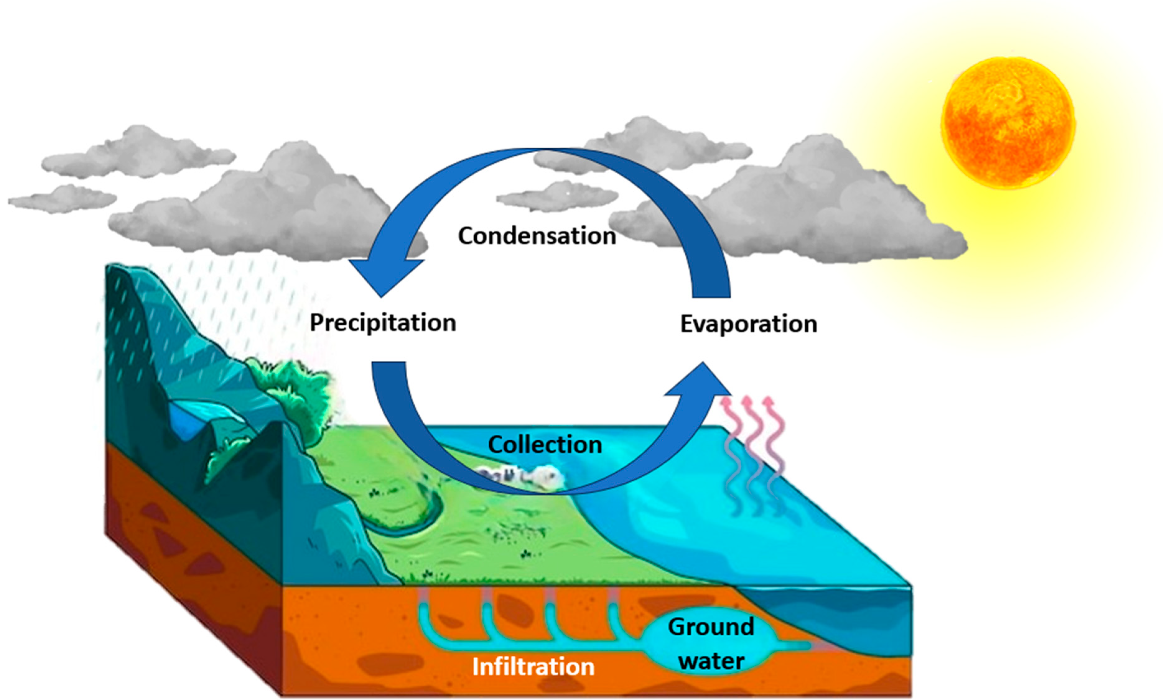 Nanomaterials 14 01707 g002
