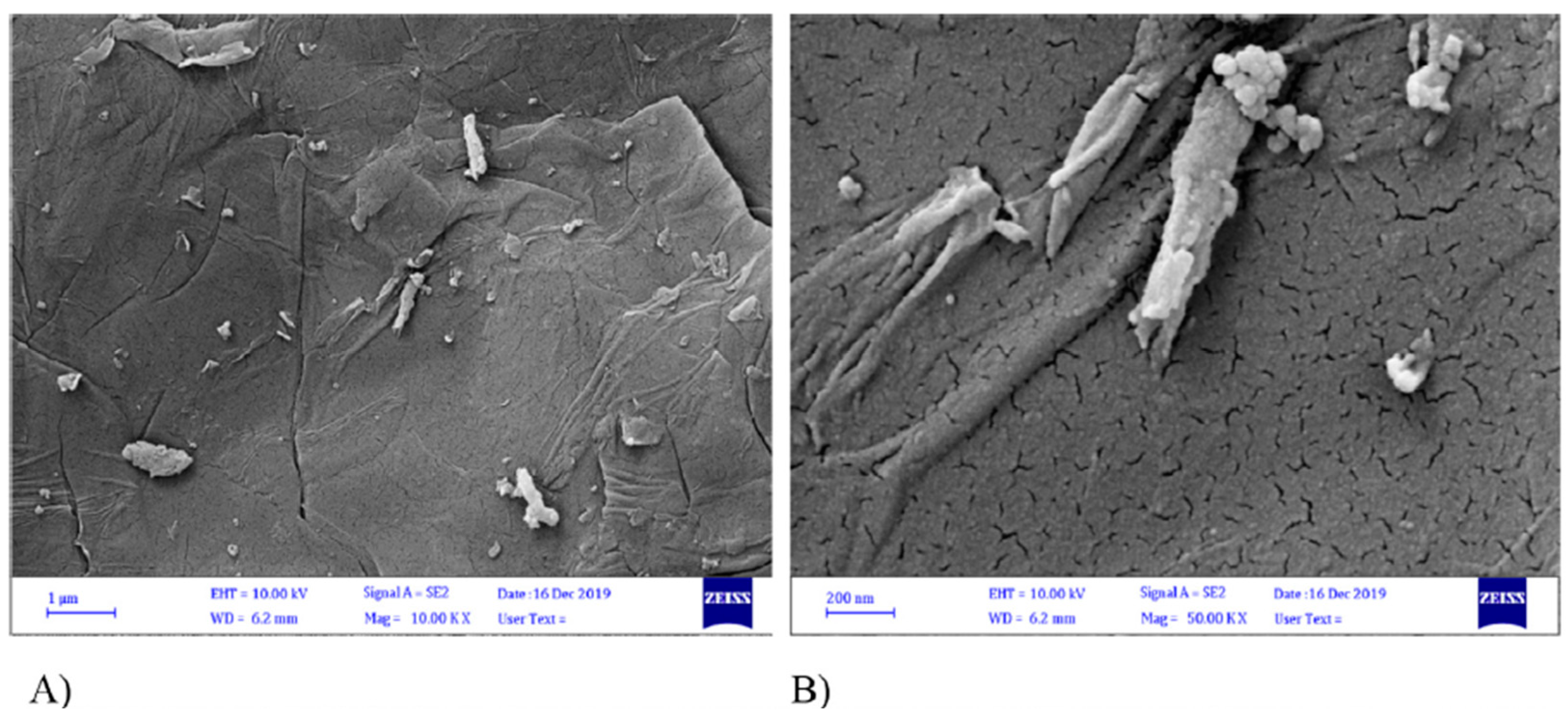 Nanomaterials 14 01707 g007