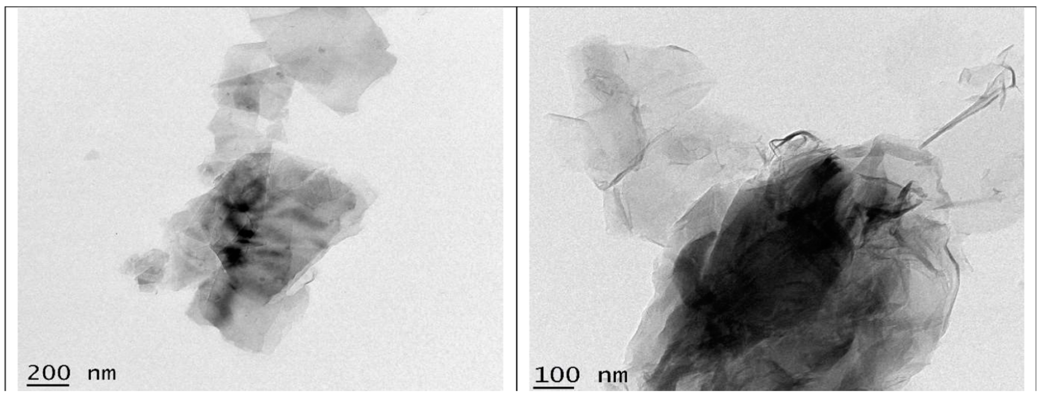 Nanomaterials 14 01707 g009