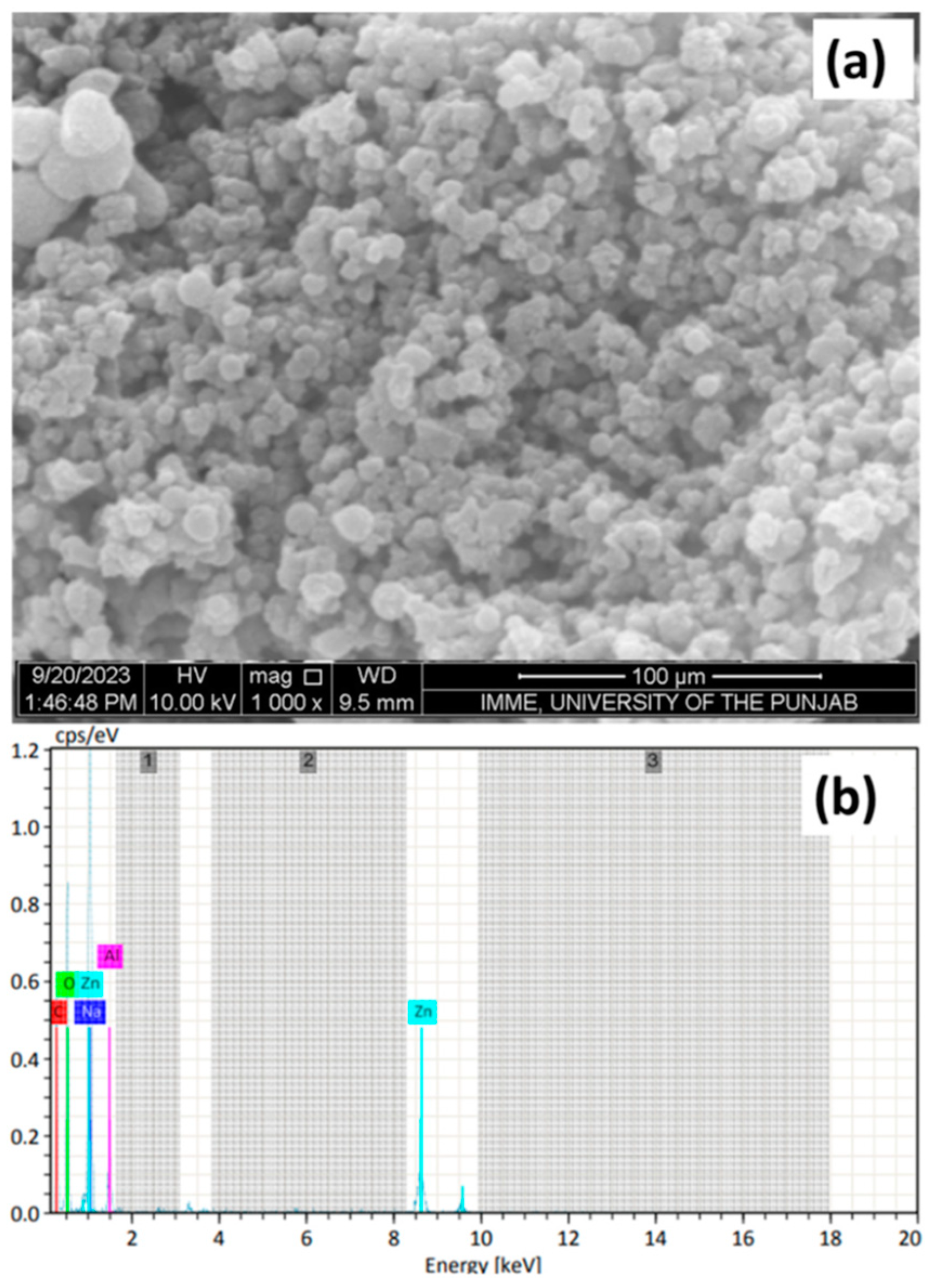 Nanomaterials 14 01707 g020