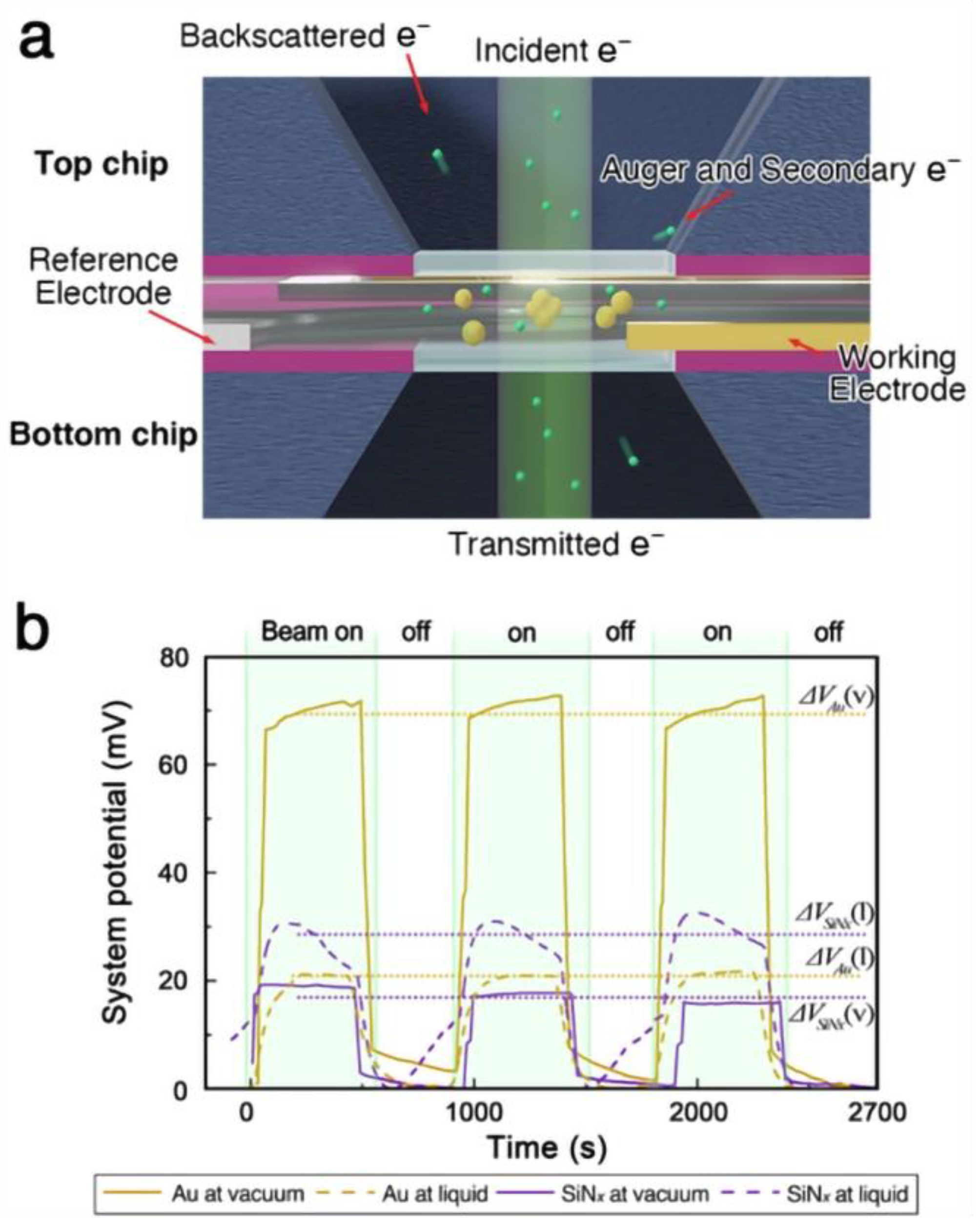 Nanomaterials 14 01709 g001