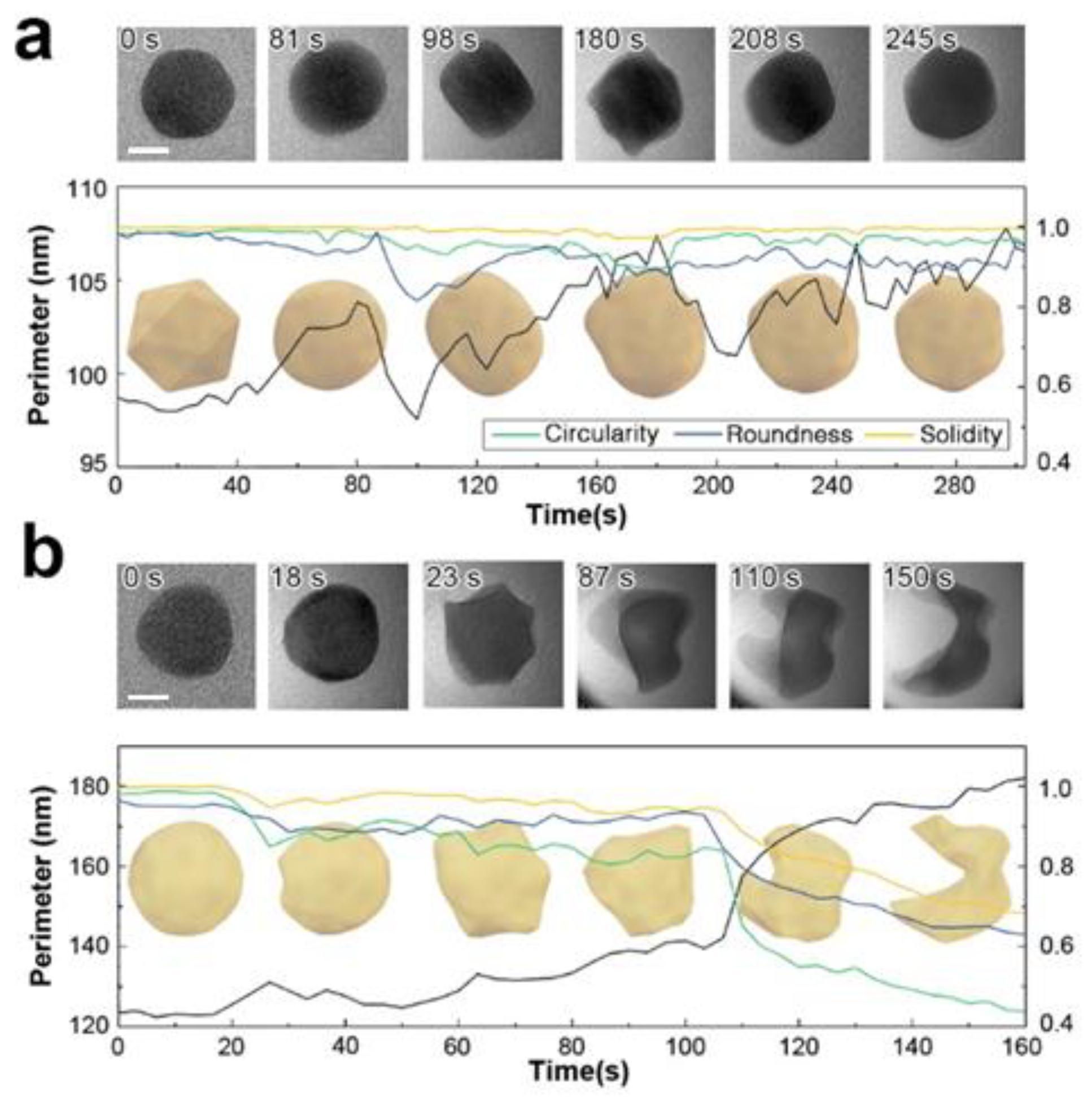 Nanomaterials 14 01709 g002
