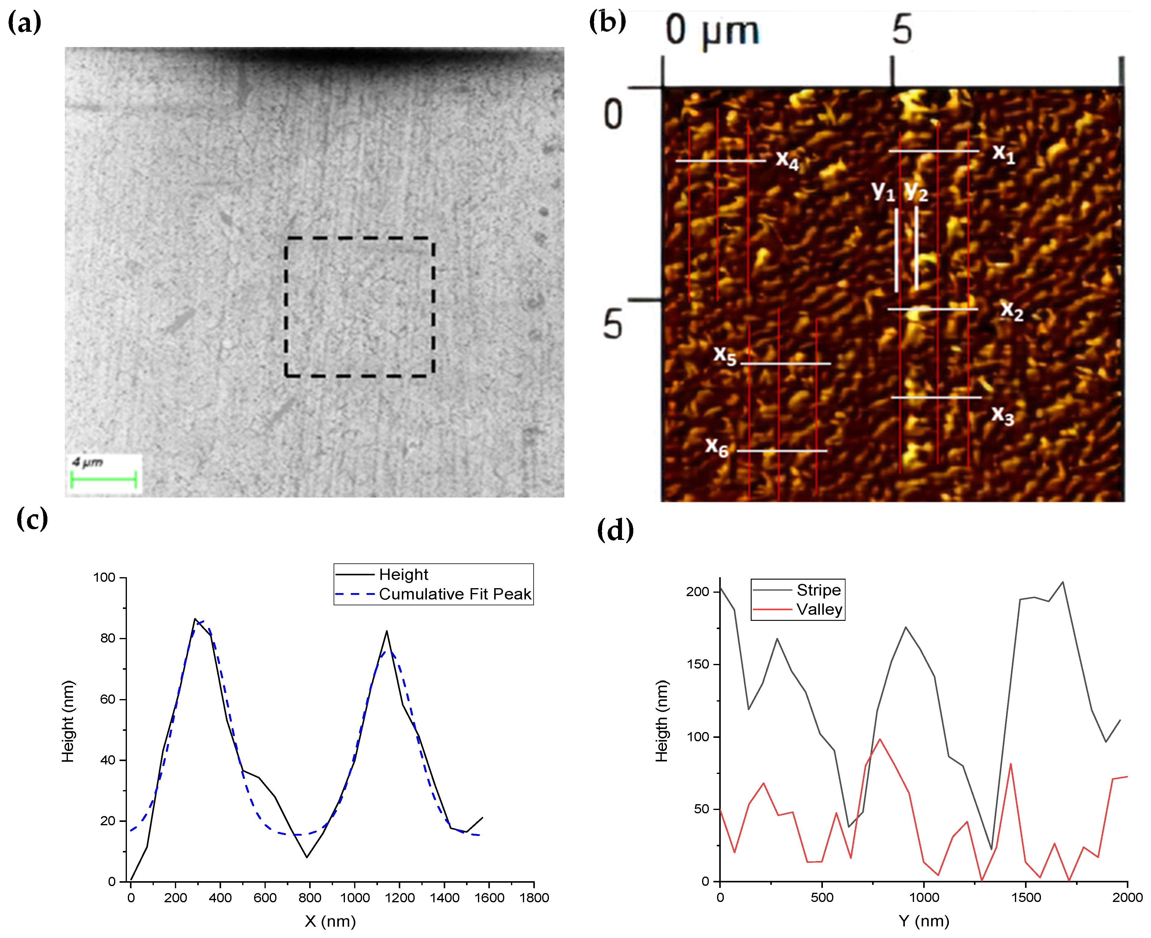 Nanomaterials 14 01714 g002