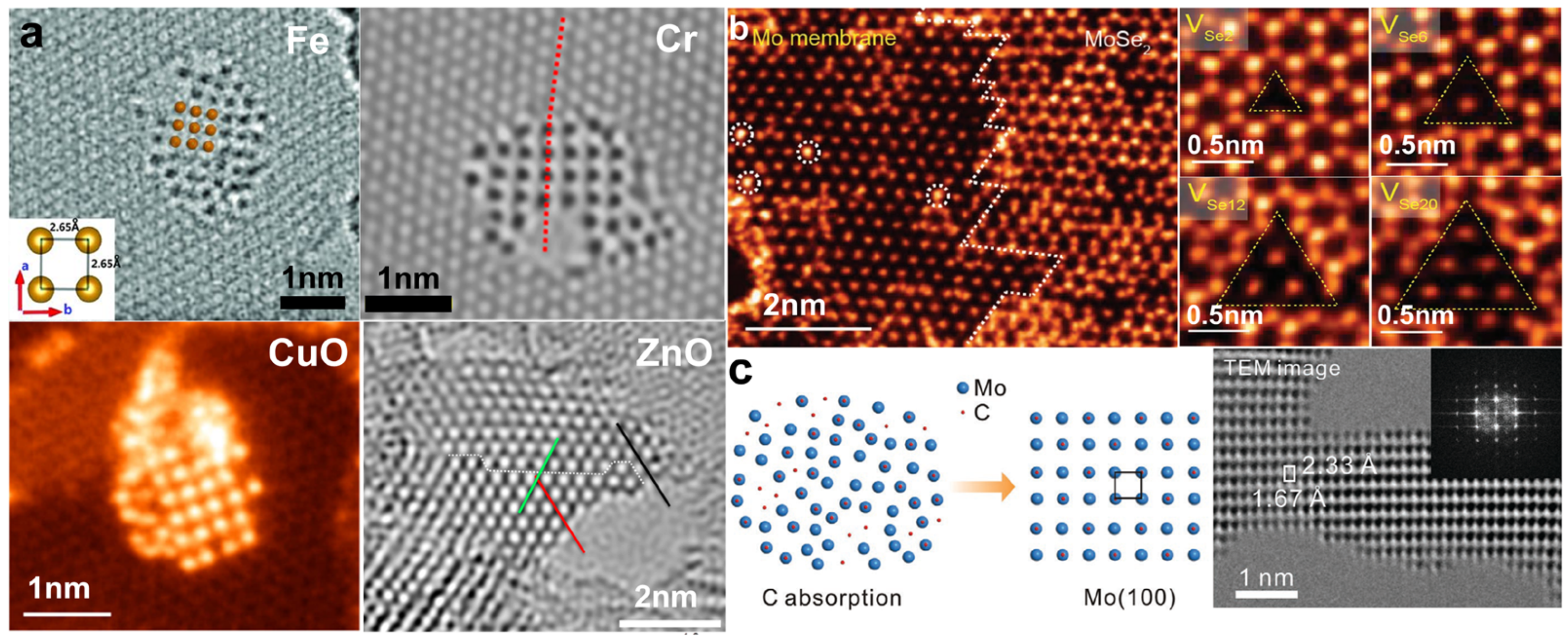 Nanomaterials 14 01718 g007