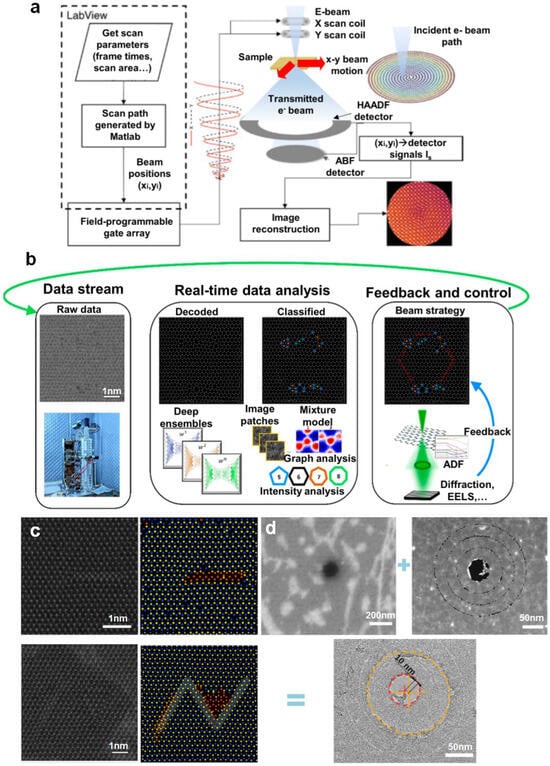 Nanomaterials 14 01718 g008