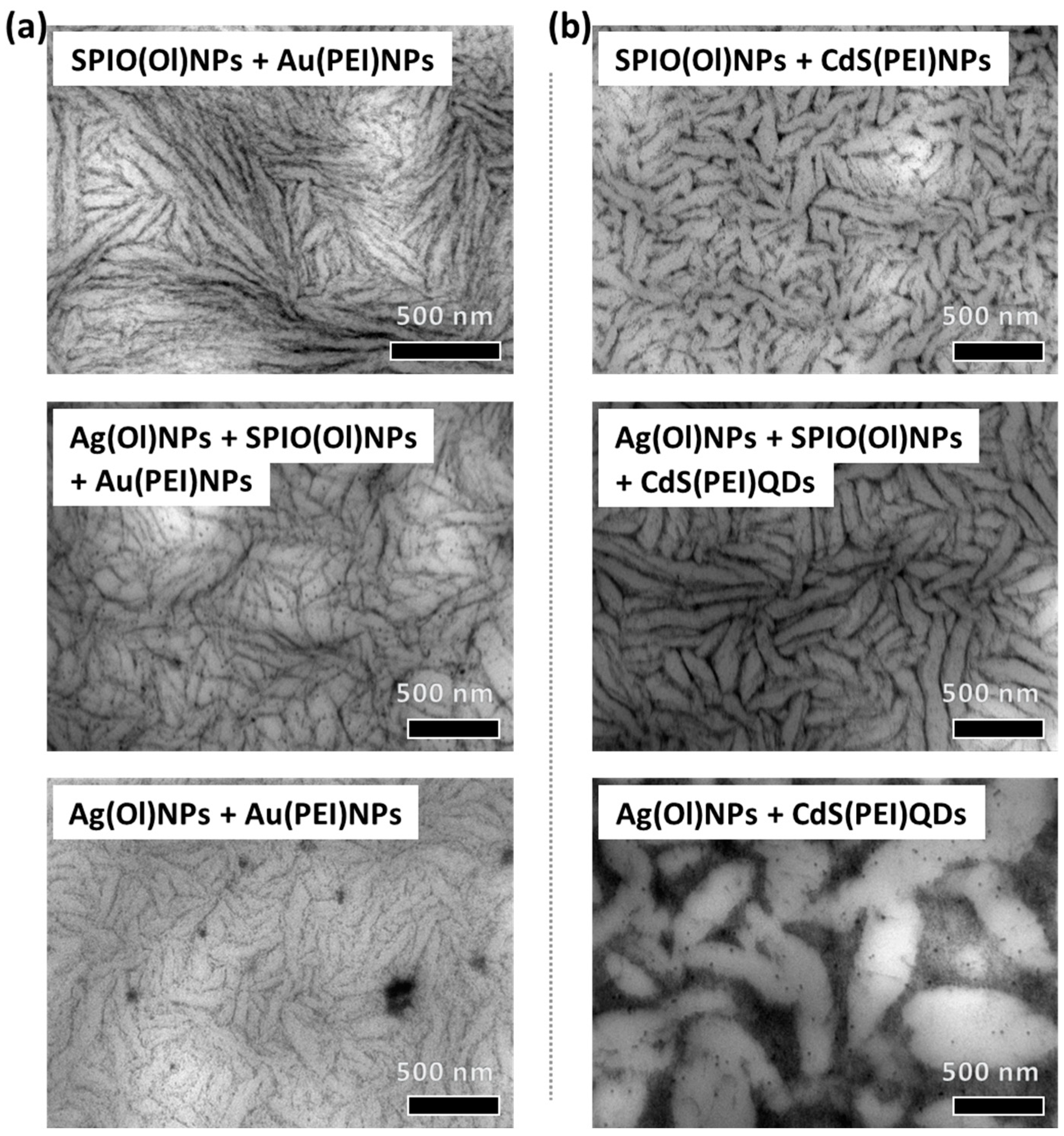 Nanomaterials 14 01726 g003 Nanomaterials 14 01726 g003