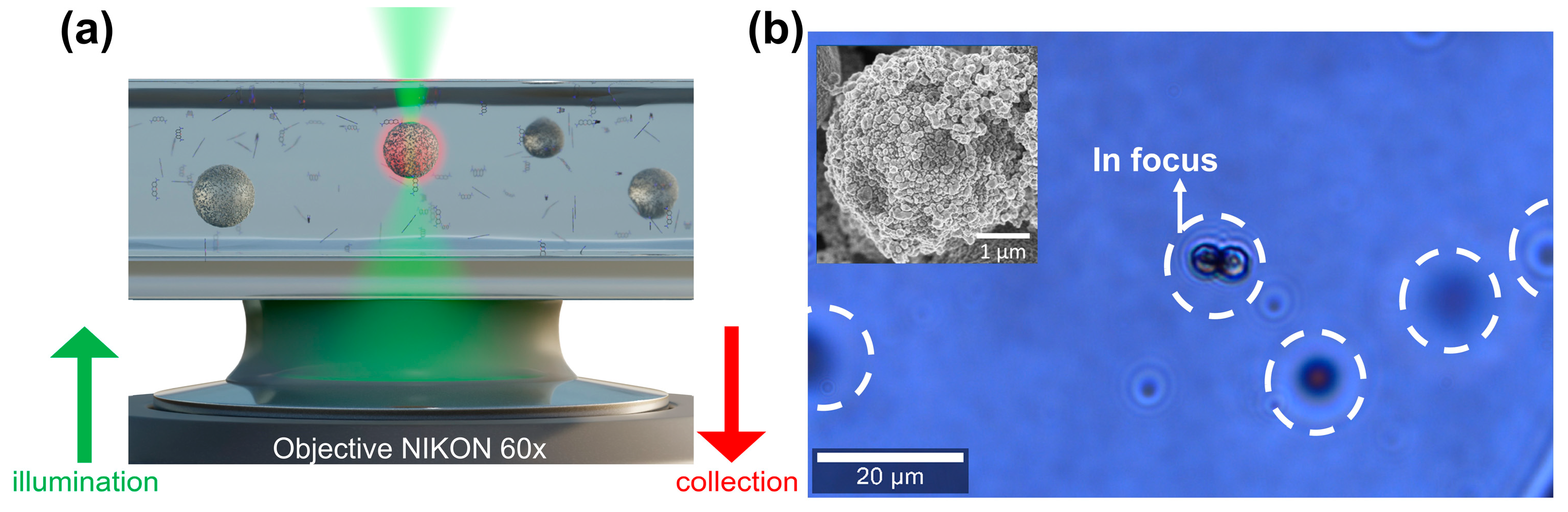 Nanomaterials 14 01728 g001